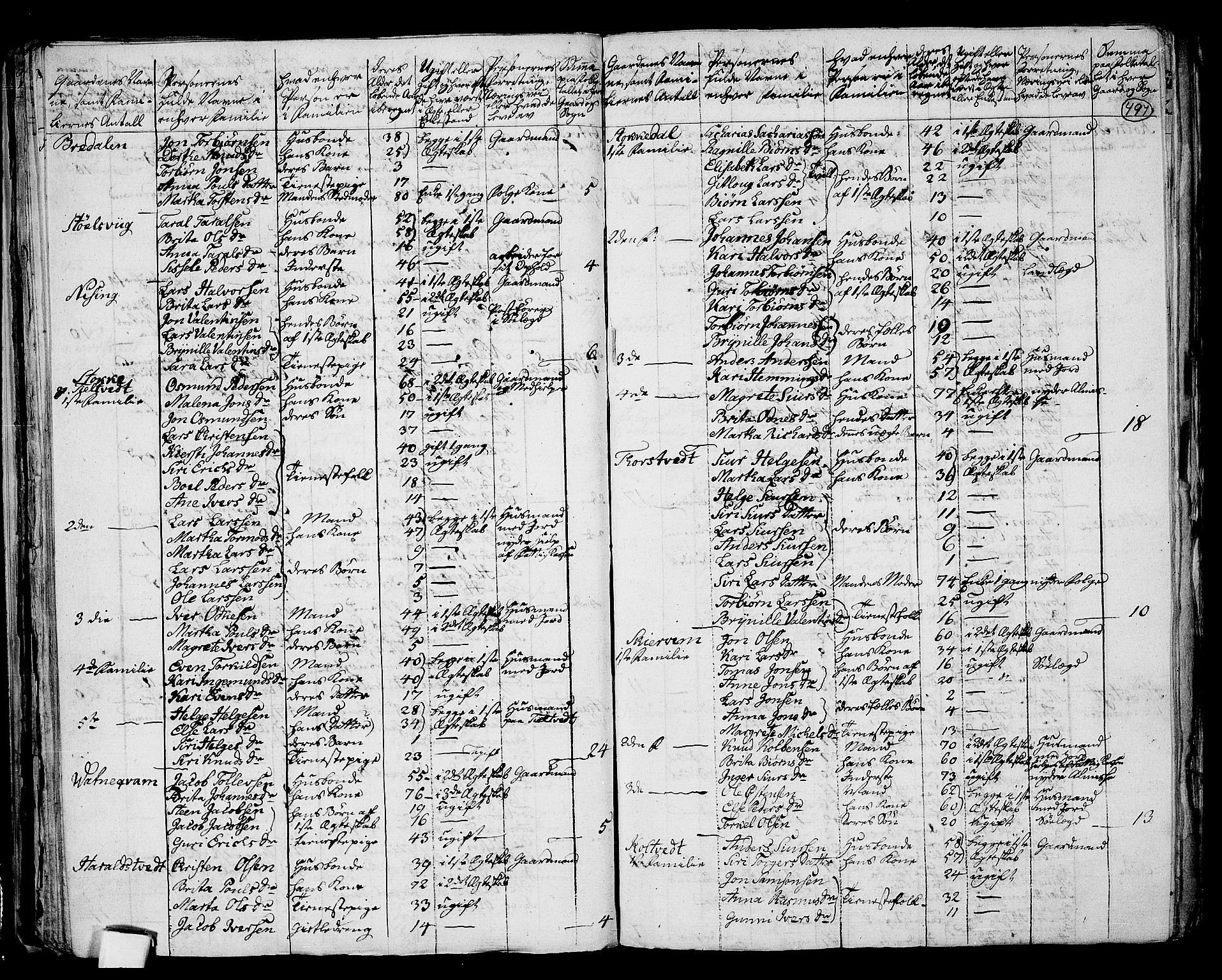 RA, 1801 census for 1154P Skjold, 1801, p. 496b-497a