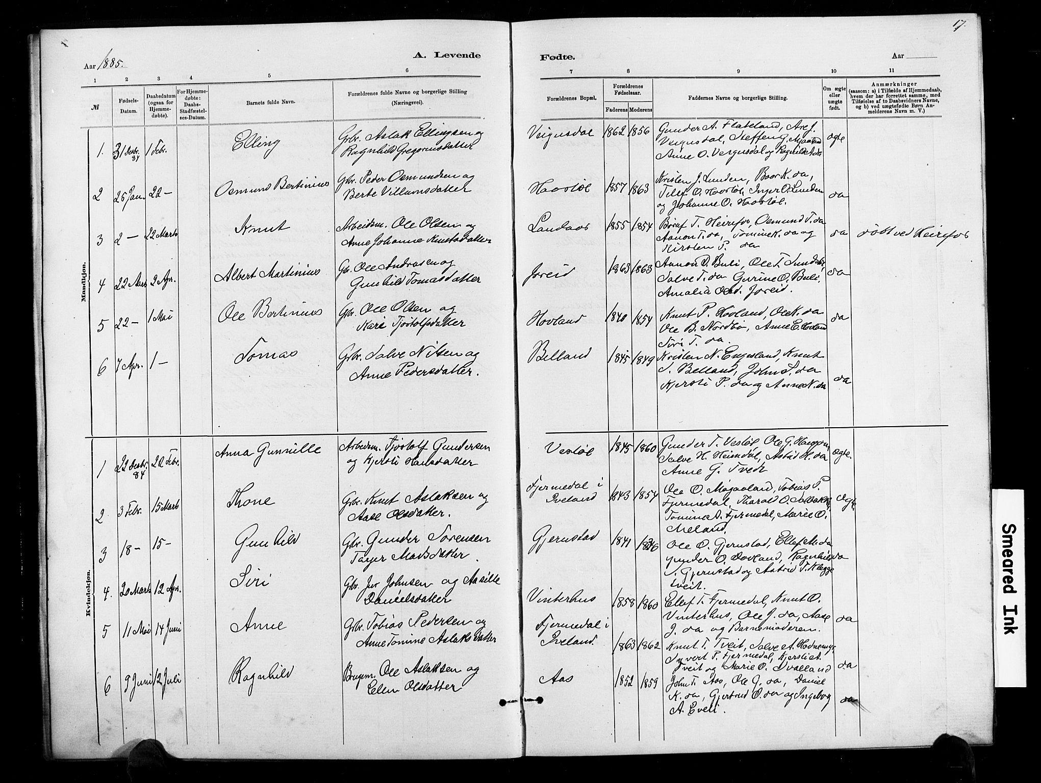 Herefoss sokneprestkontor, SAK/1111-0019/F/Fb/Fbb/L0002: Parish register (copy) no. B 2, 1879-1894, p. 17