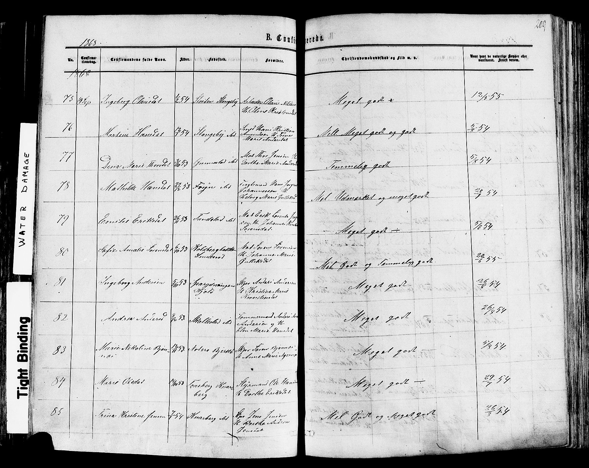 Nøtterøy kirkebøker, AV/SAKO-A-354/F/Fa/L0007: Parish register (official) no. I 7, 1865-1877, p. 209