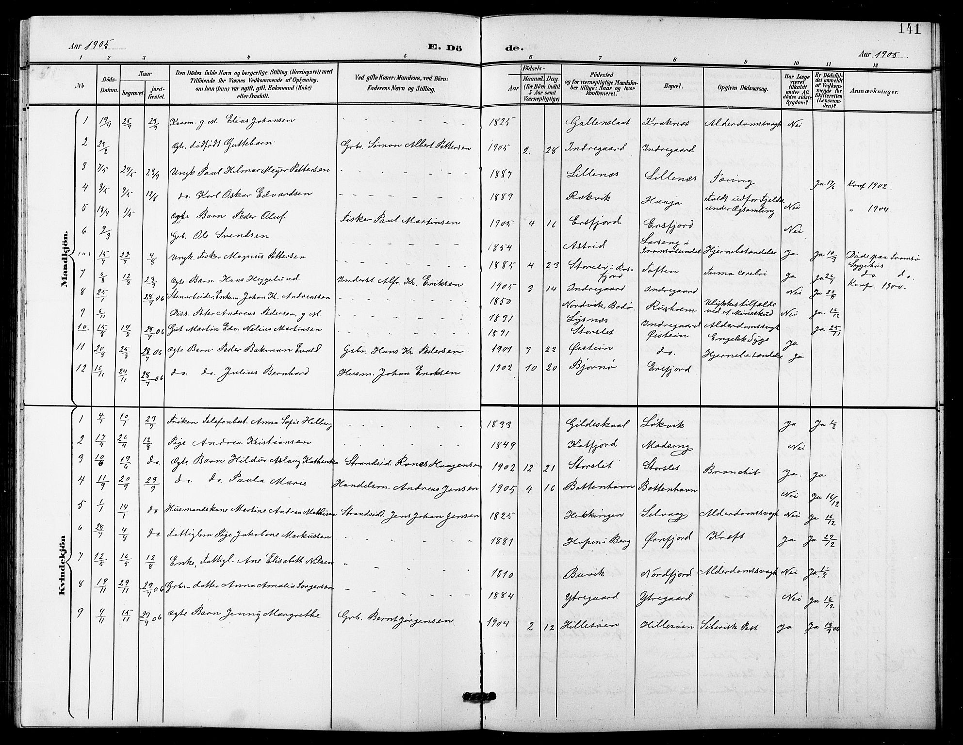 Lenvik sokneprestembete, AV/SATØ-S-1310/H/Ha/Hab/L0022klokker: Parish register (copy) no. 22, 1901-1918, p. 141