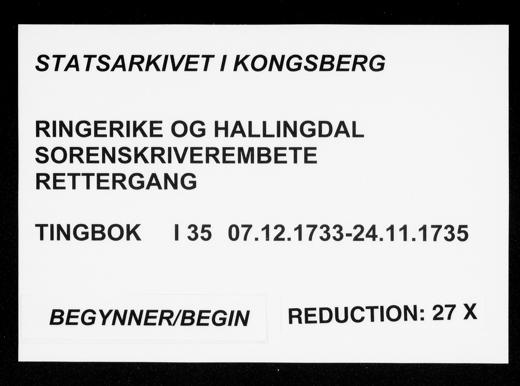 Ringerike og Hallingdal sorenskriveri, AV/SAKO-A-81/F/Fa/Faa/L0035: Tingbok, 1733-1735