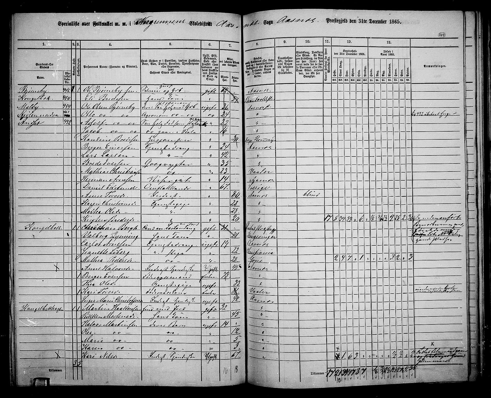 RA, 1865 census for Åsnes, 1865, p. 138