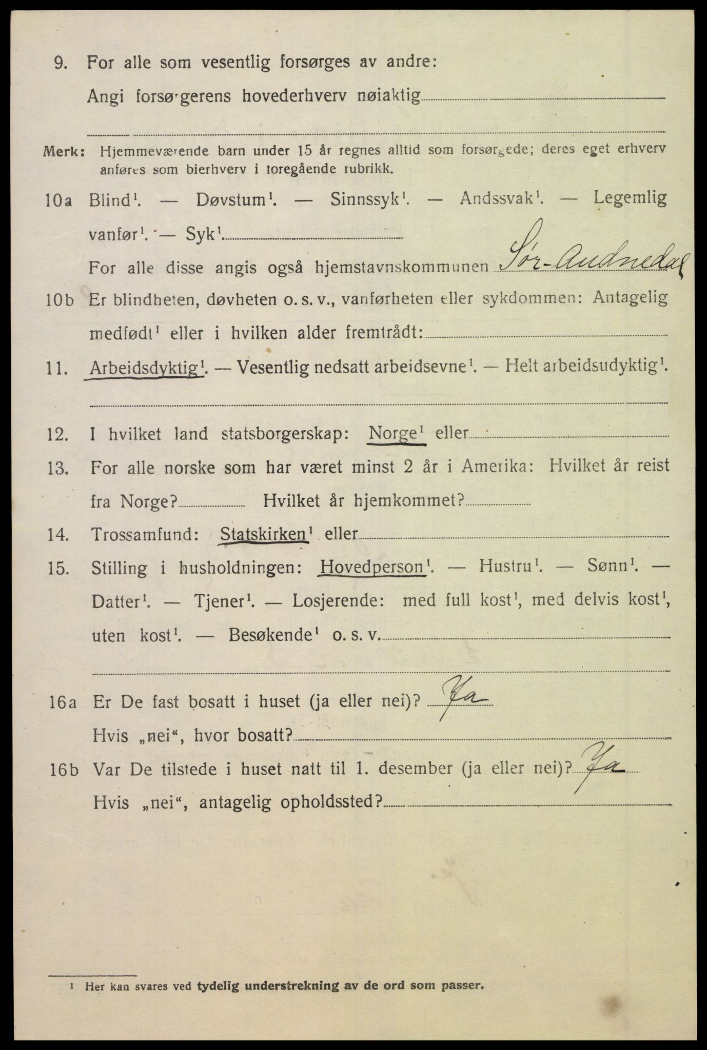 SAK, 1920 census for Sør-Audnedal, 1920, p. 2632