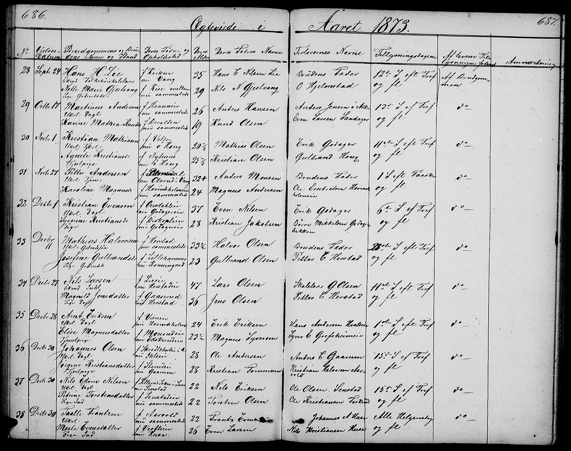 Nes prestekontor, Hedmark, SAH/PREST-020/L/La/L0005: Parish register (copy) no. 5, 1852-1889, p. 686-687