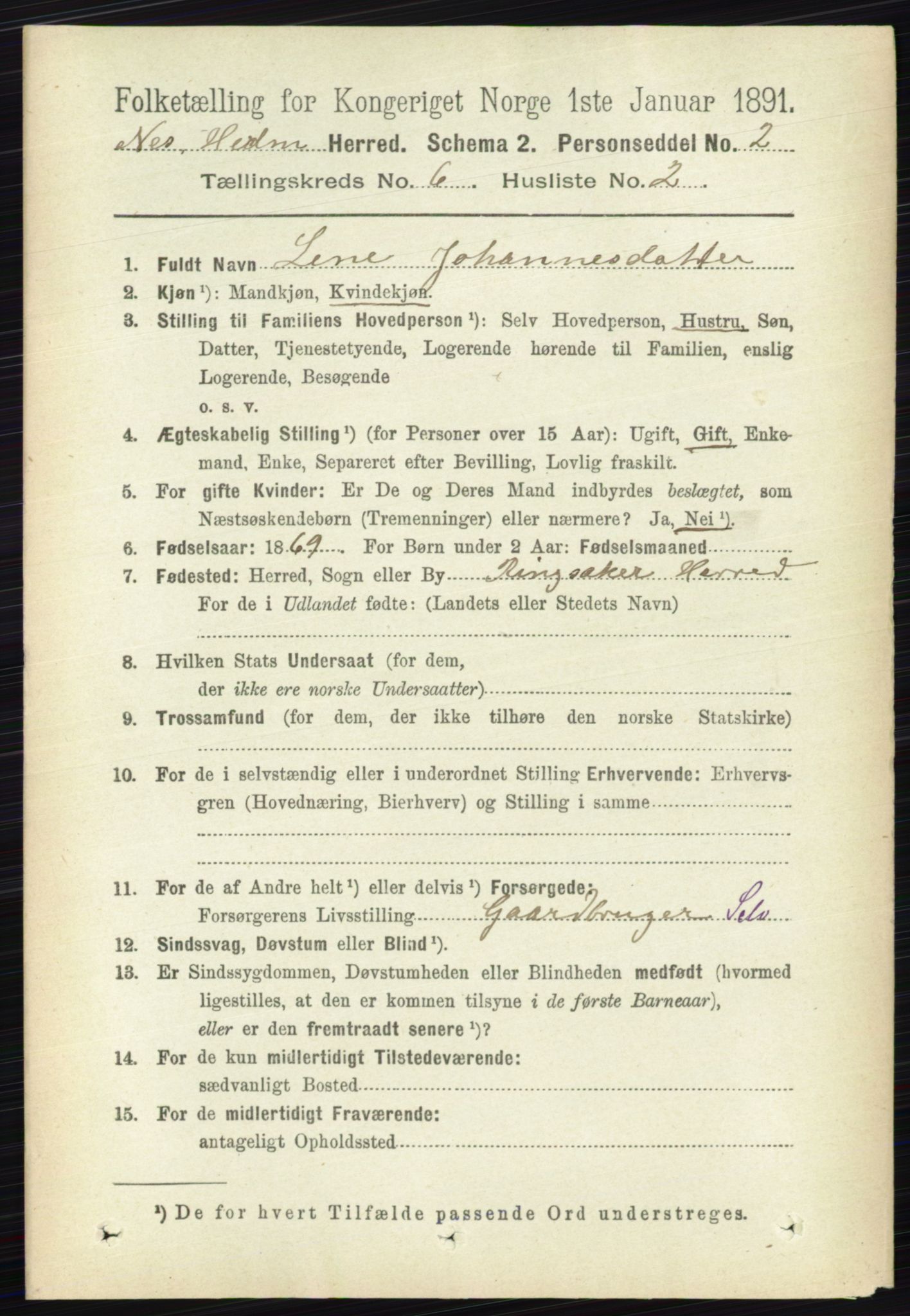 RA, 1891 census for 0411 Nes, 1891, p. 3272