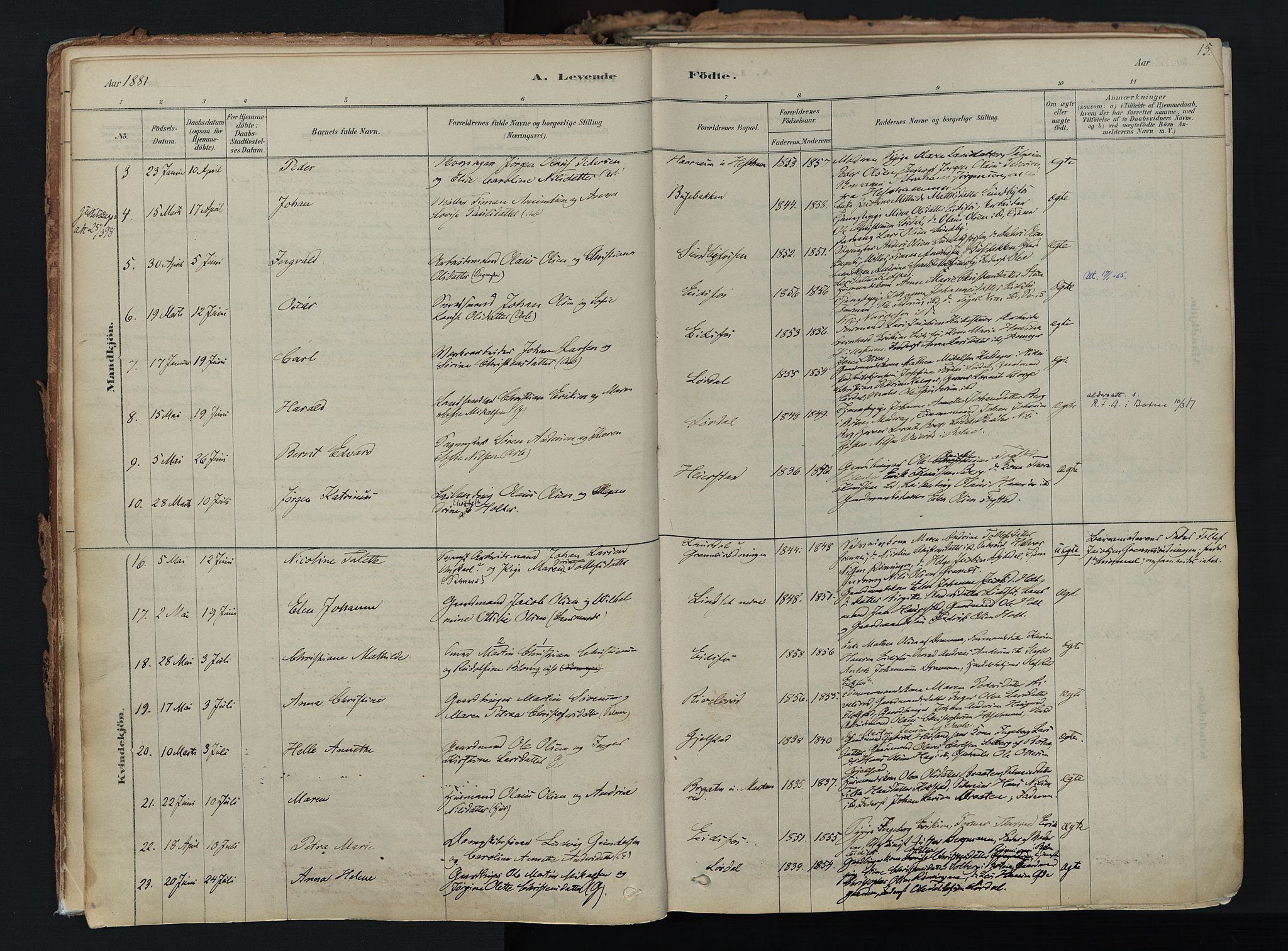 Hof kirkebøker, SAKO/A-64/F/Fa/L0007: Parish register (official) no. I 7, 1878-1940, p. 13