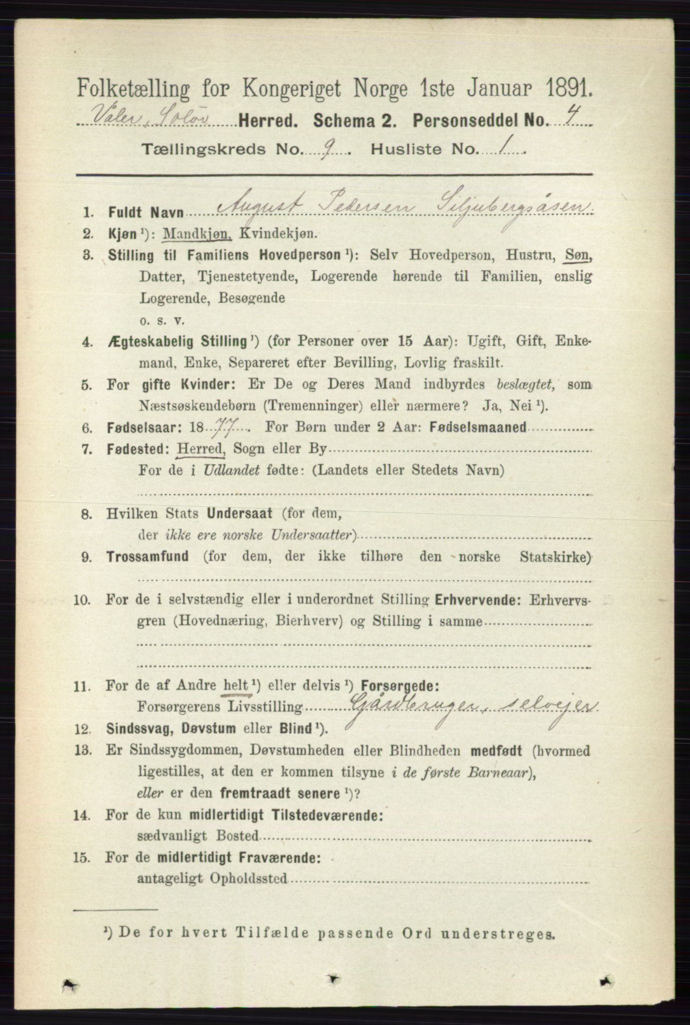 RA, 1891 census for 0426 Våler, 1891, p. 3857