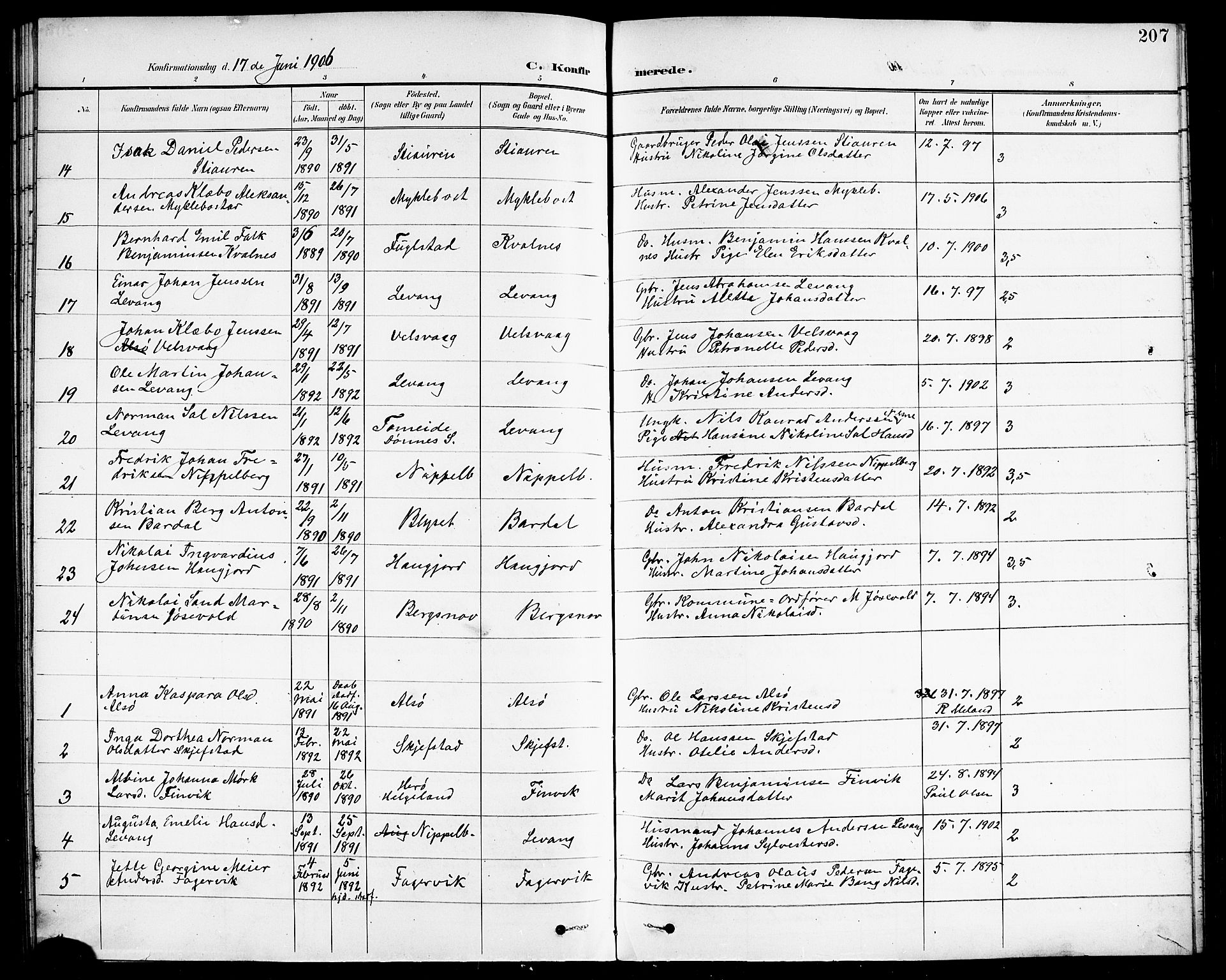 Ministerialprotokoller, klokkerbøker og fødselsregistre - Nordland, AV/SAT-A-1459/838/L0559: Parish register (copy) no. 838C06, 1893-1910, p. 207