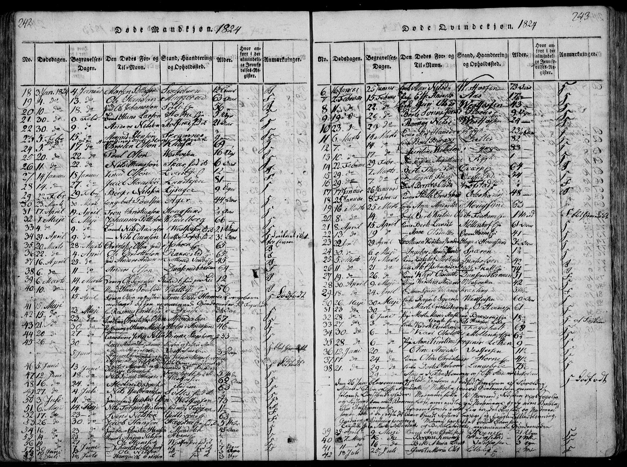 Eiker kirkebøker, AV/SAKO-A-4/F/Fa/L0011: Parish register (official) no. I 11, 1814-1827, p. 242-243