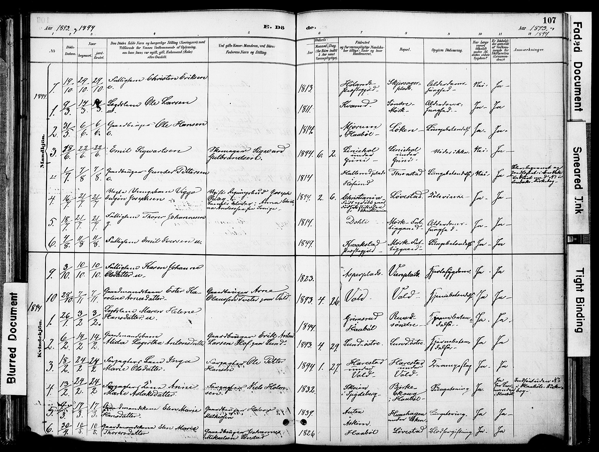 Spydeberg prestekontor Kirkebøker, AV/SAO-A-10924/F/Fa/L0008: Parish register (official) no. I 8, 1886-1900, p. 107