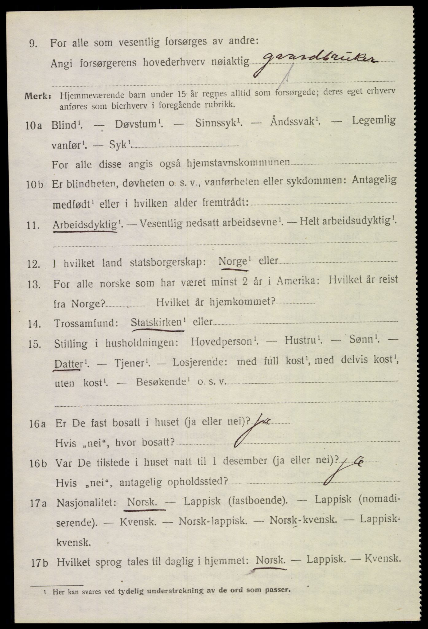 SAT, 1920 census for Borge, 1920, p. 6386