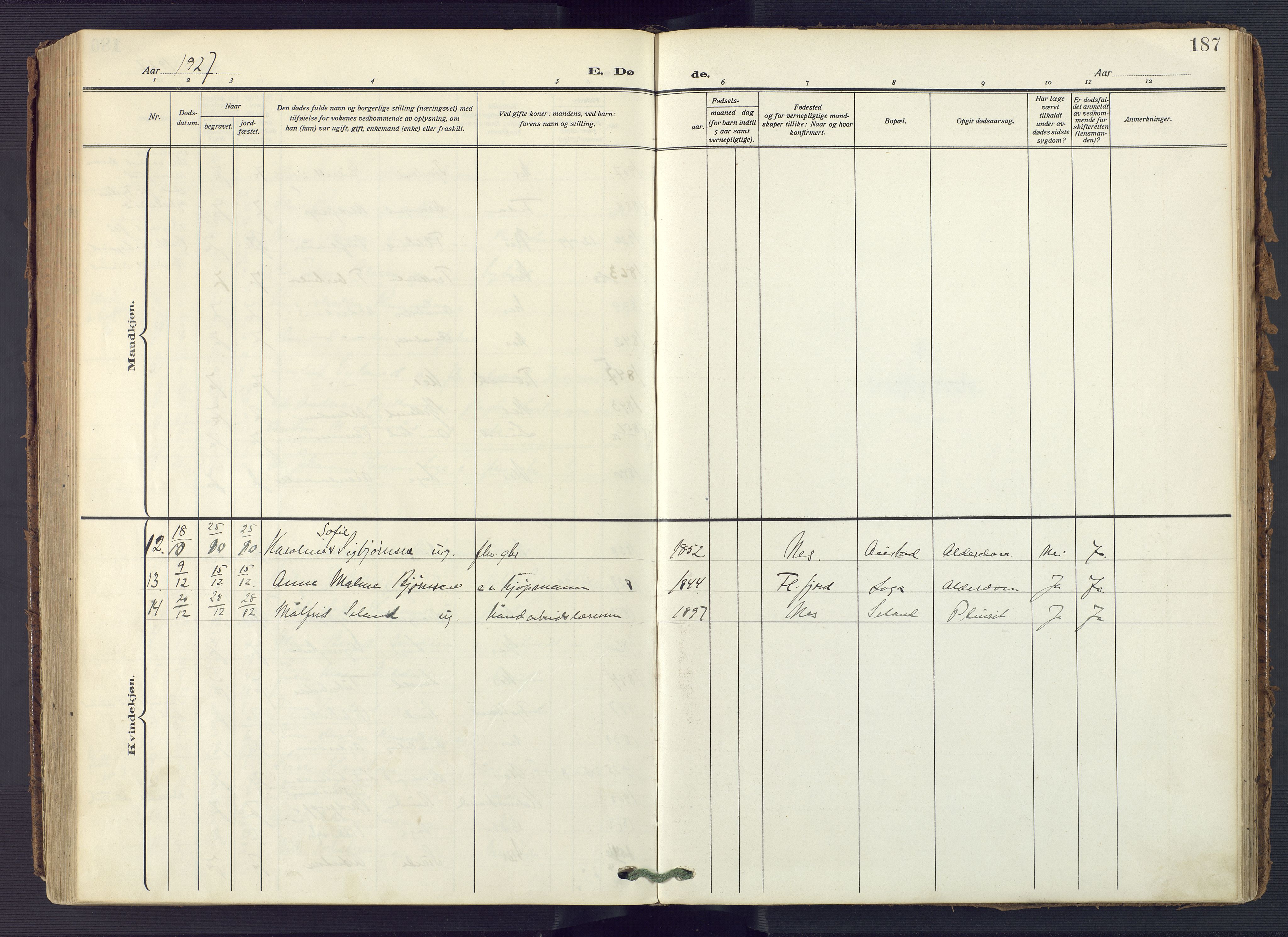 Flekkefjord sokneprestkontor, AV/SAK-1111-0012/F/Fa/Fac/L0010: Parish register (official) no. A 10, 1910-1927, p. 187