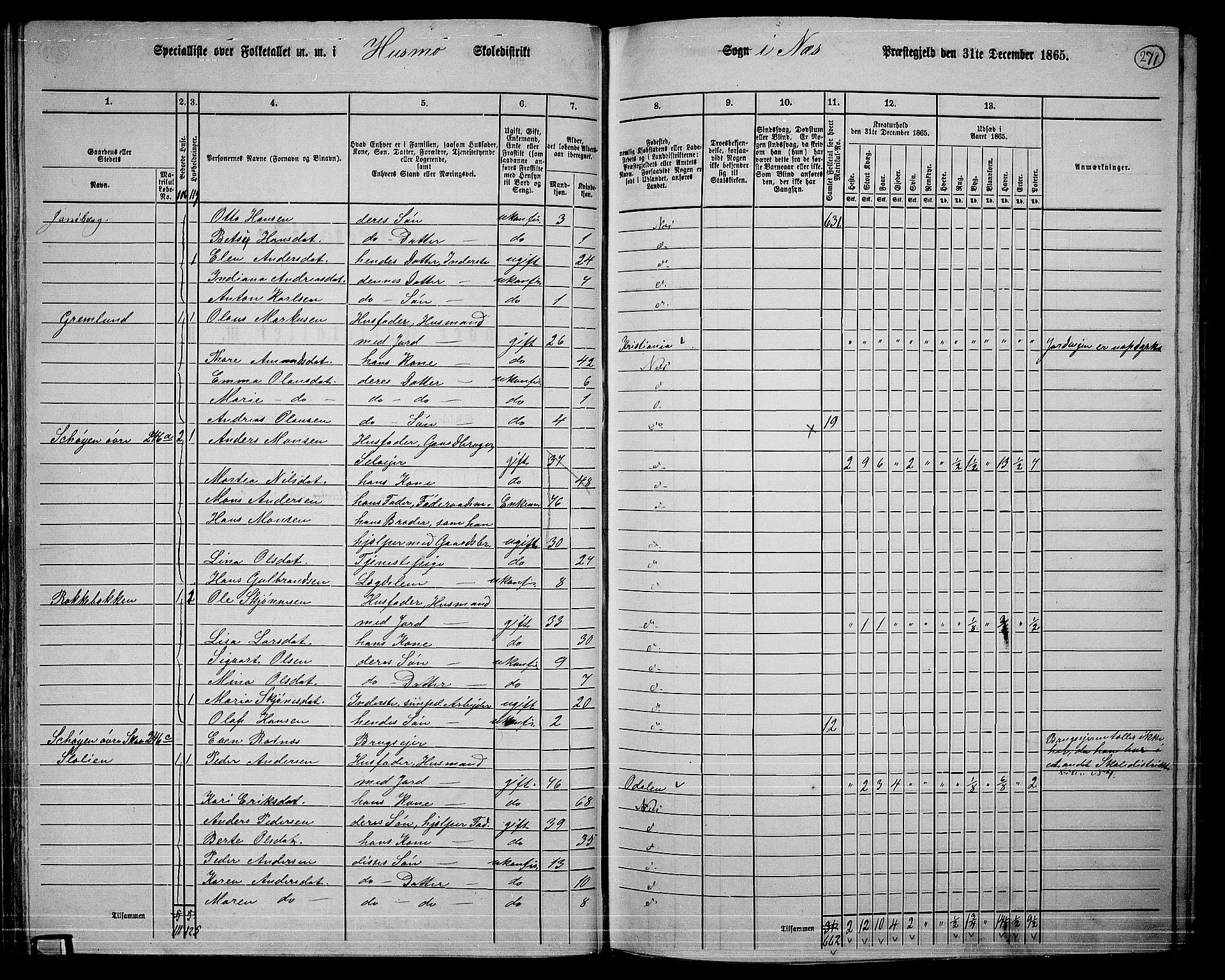 RA, 1865 census for Nes, 1865, p. 254