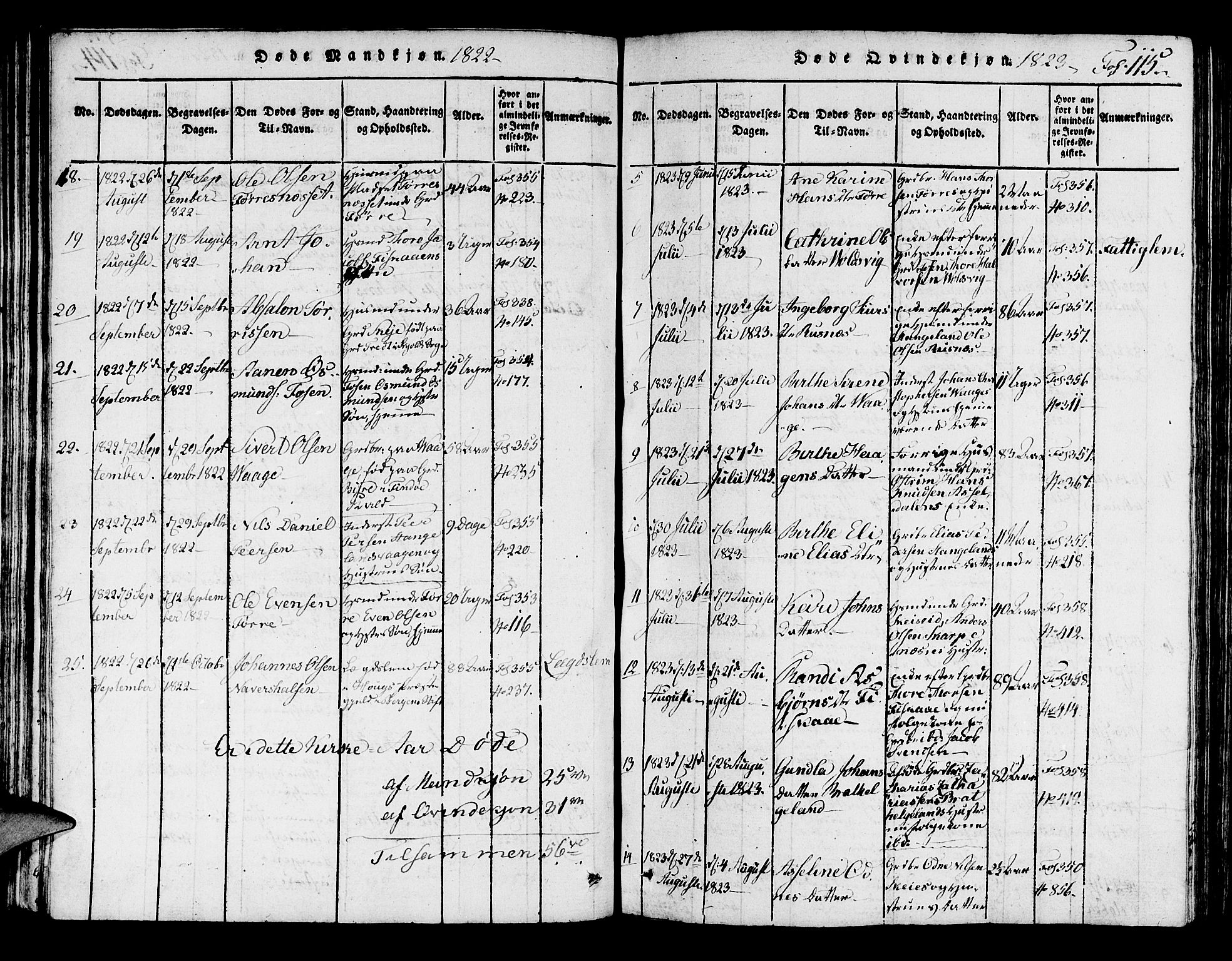 Avaldsnes sokneprestkontor, SAST/A -101851/H/Ha/Haa/L0004: Parish register (official) no. A 4, 1816-1825, p. 115