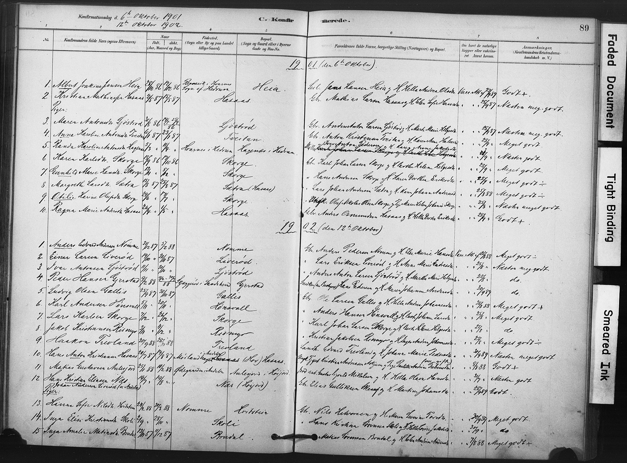 Andebu kirkebøker, AV/SAKO-A-336/F/Fa/L0008: Parish register (official) no. 8, 1878-1902, p. 89