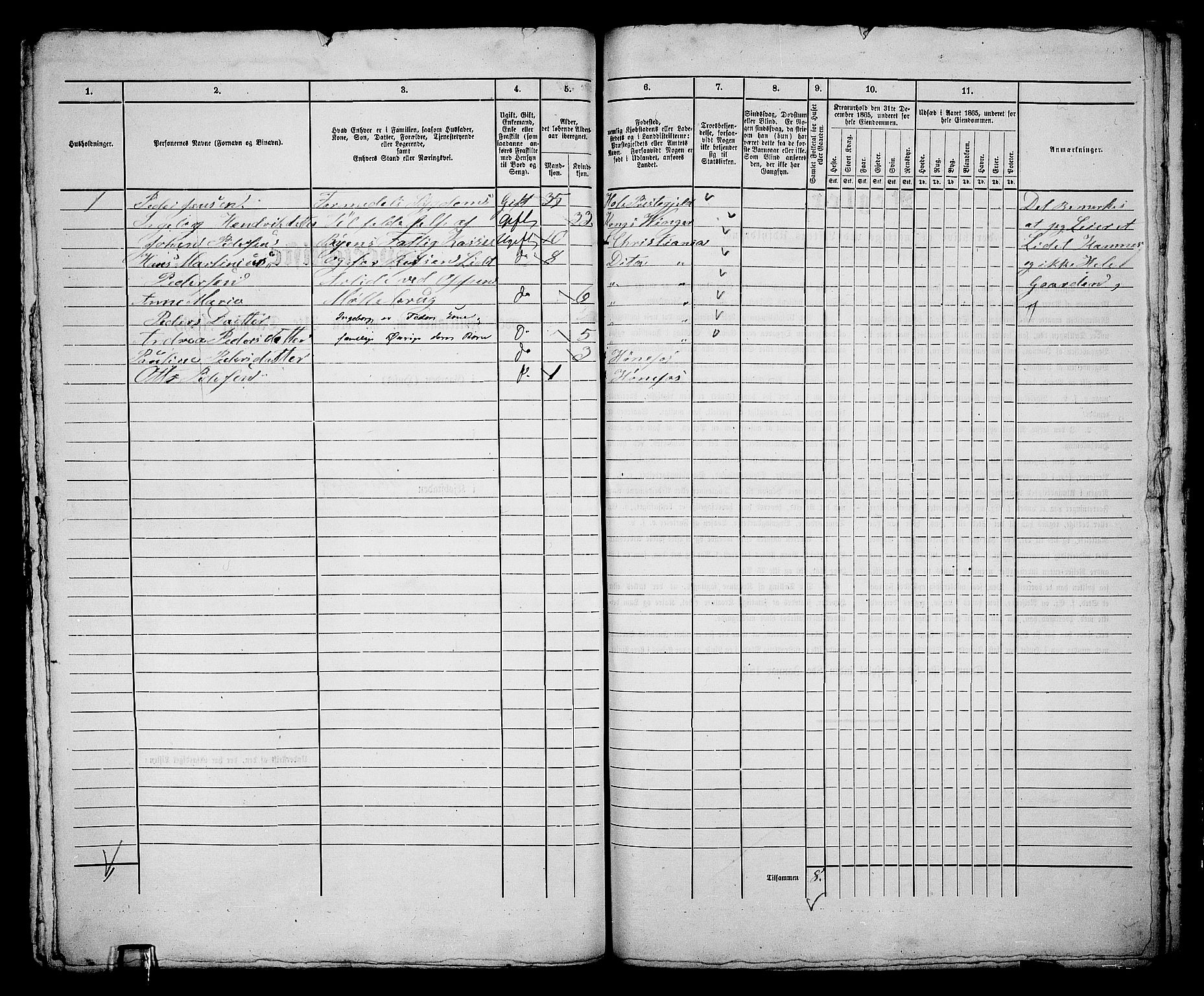 RA, 1865 census for Norderhov/Hønefoss, 1865, p. 311