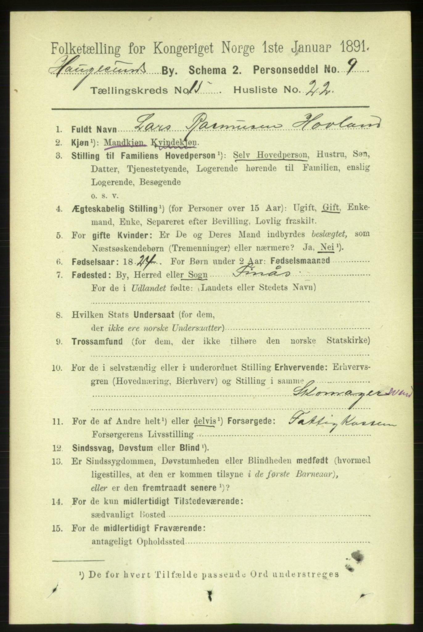 RA, 1891 census for 1106 Haugesund, 1891, p. 5146
