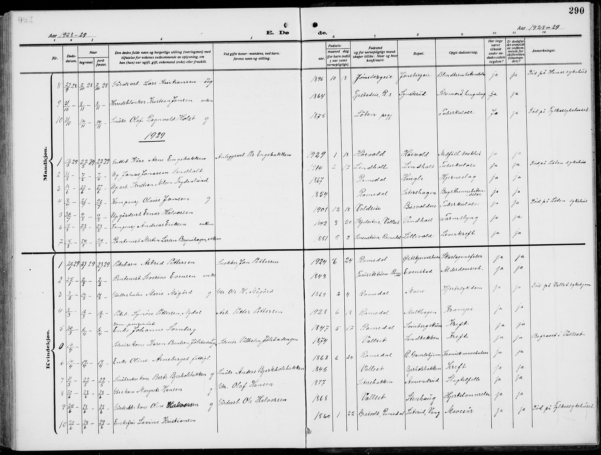 Romedal prestekontor, AV/SAH-PREST-004/L/L0014: Parish register (copy) no. 14, 1915-1939, p. 290