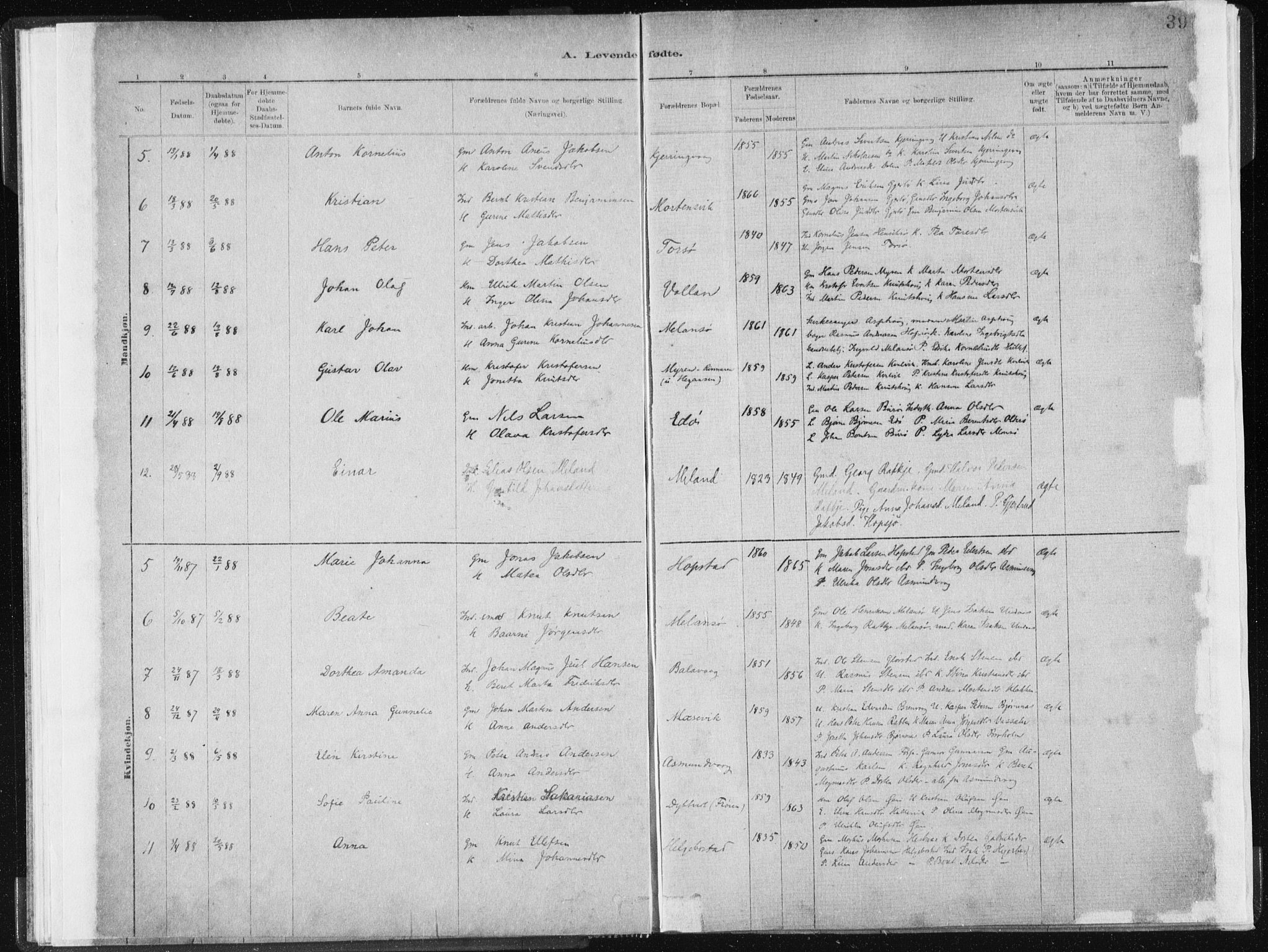 Ministerialprotokoller, klokkerbøker og fødselsregistre - Sør-Trøndelag, SAT/A-1456/634/L0533: Parish register (official) no. 634A09, 1882-1901, p. 39