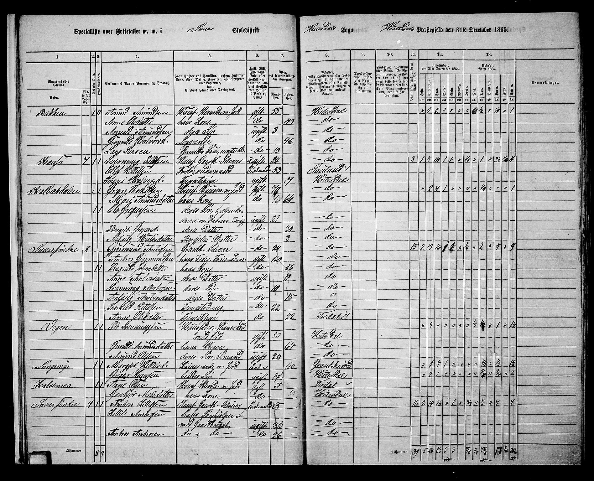 RA, 1865 census for Heddal, 1865, p. 17