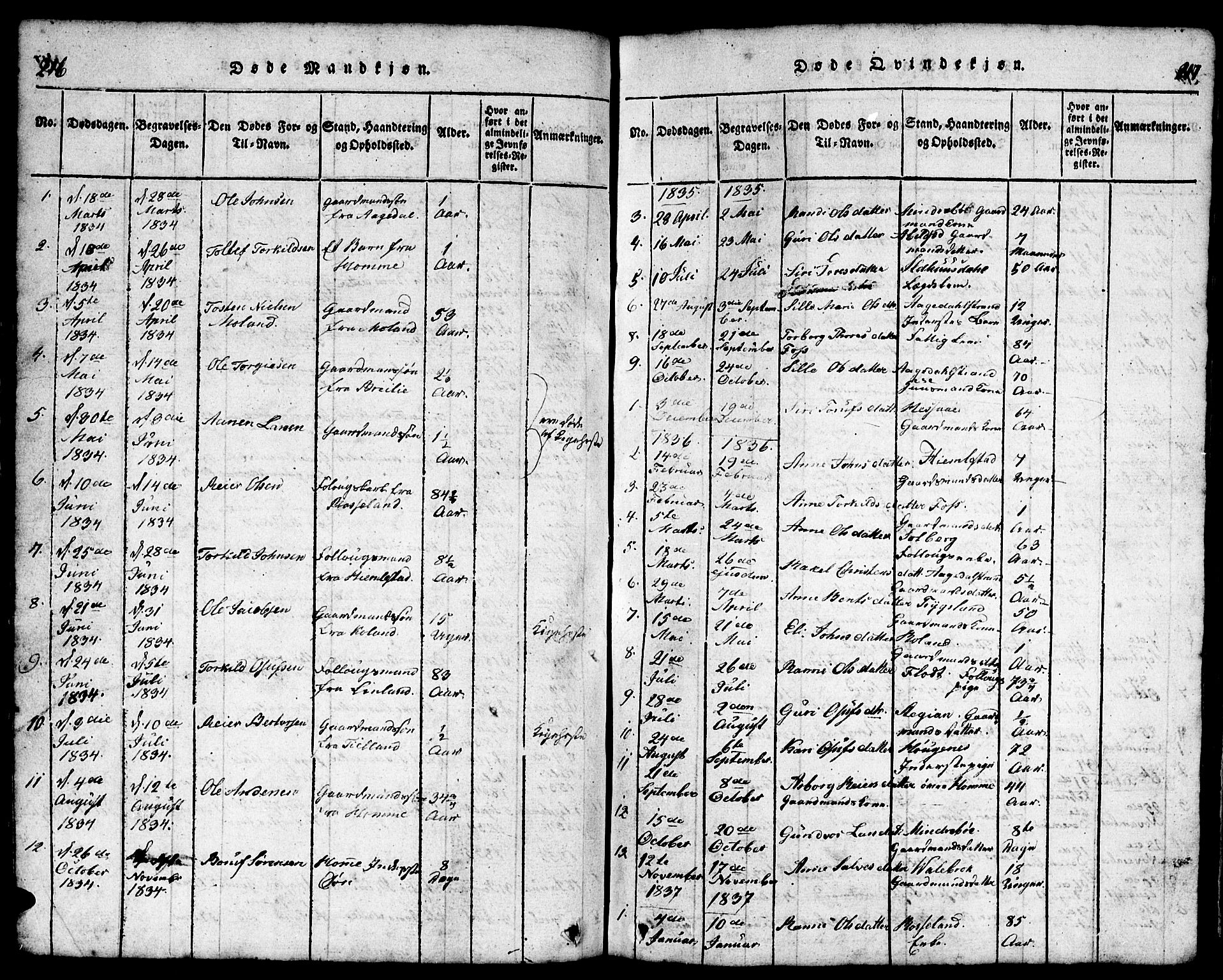 Bjelland sokneprestkontor, AV/SAK-1111-0005/F/Fb/Fba/L0003: Parish register (copy) no. B 3, 1816-1870, p. 216-217