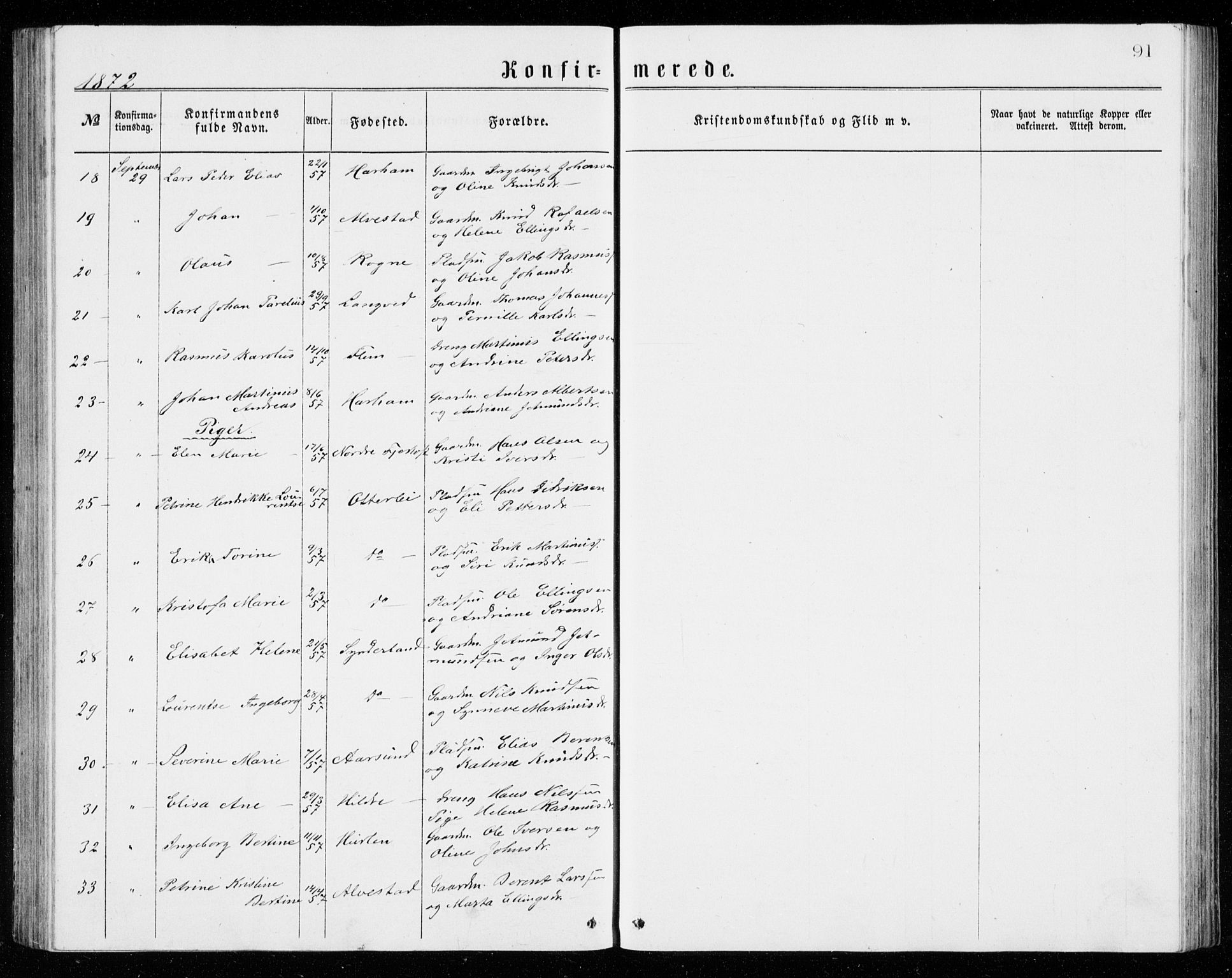 Ministerialprotokoller, klokkerbøker og fødselsregistre - Møre og Romsdal, AV/SAT-A-1454/536/L0509: Parish register (copy) no. 536C04, 1871-1881, p. 91