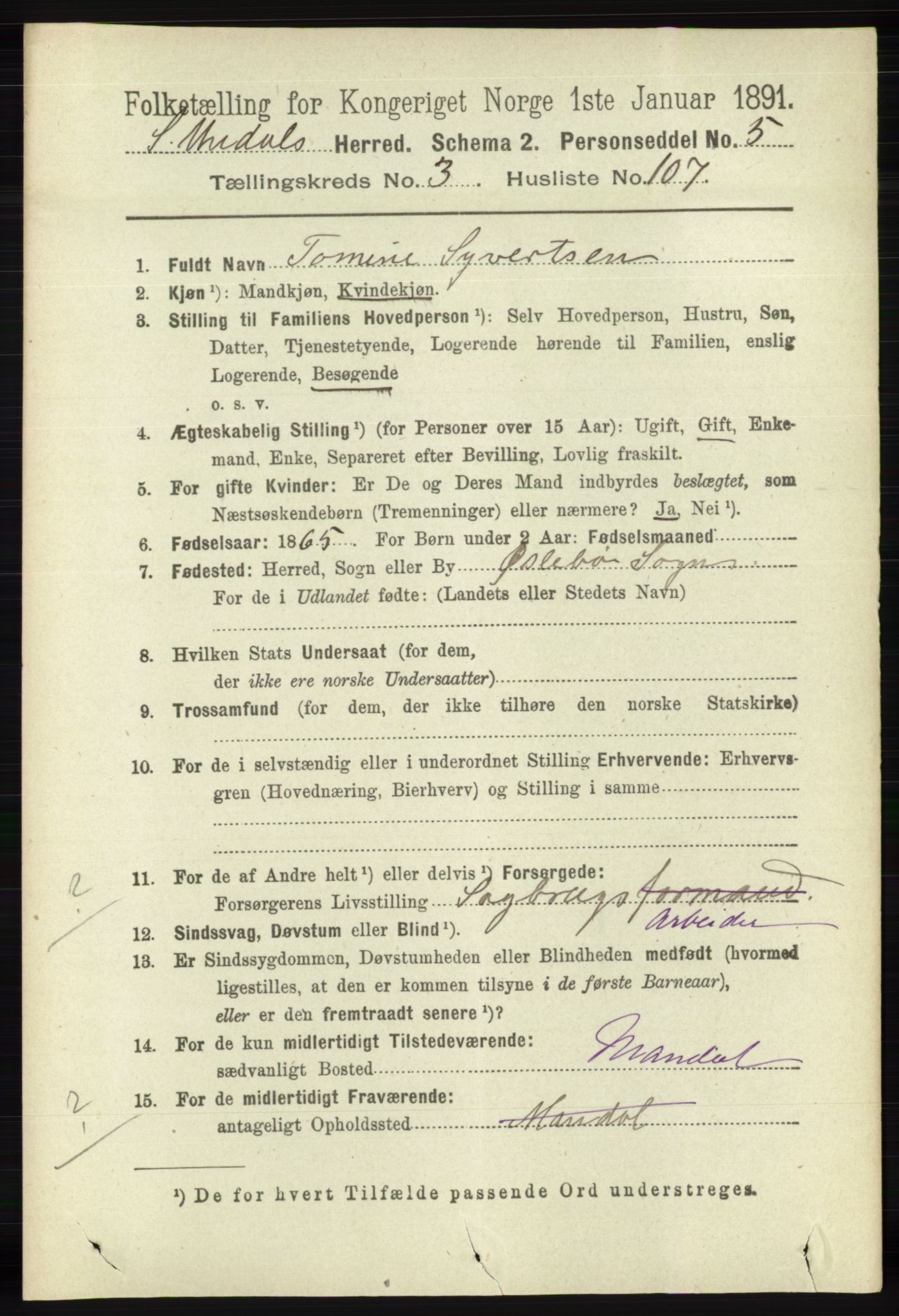 RA, 1891 census for 1029 Sør-Audnedal, 1891, p. 1324