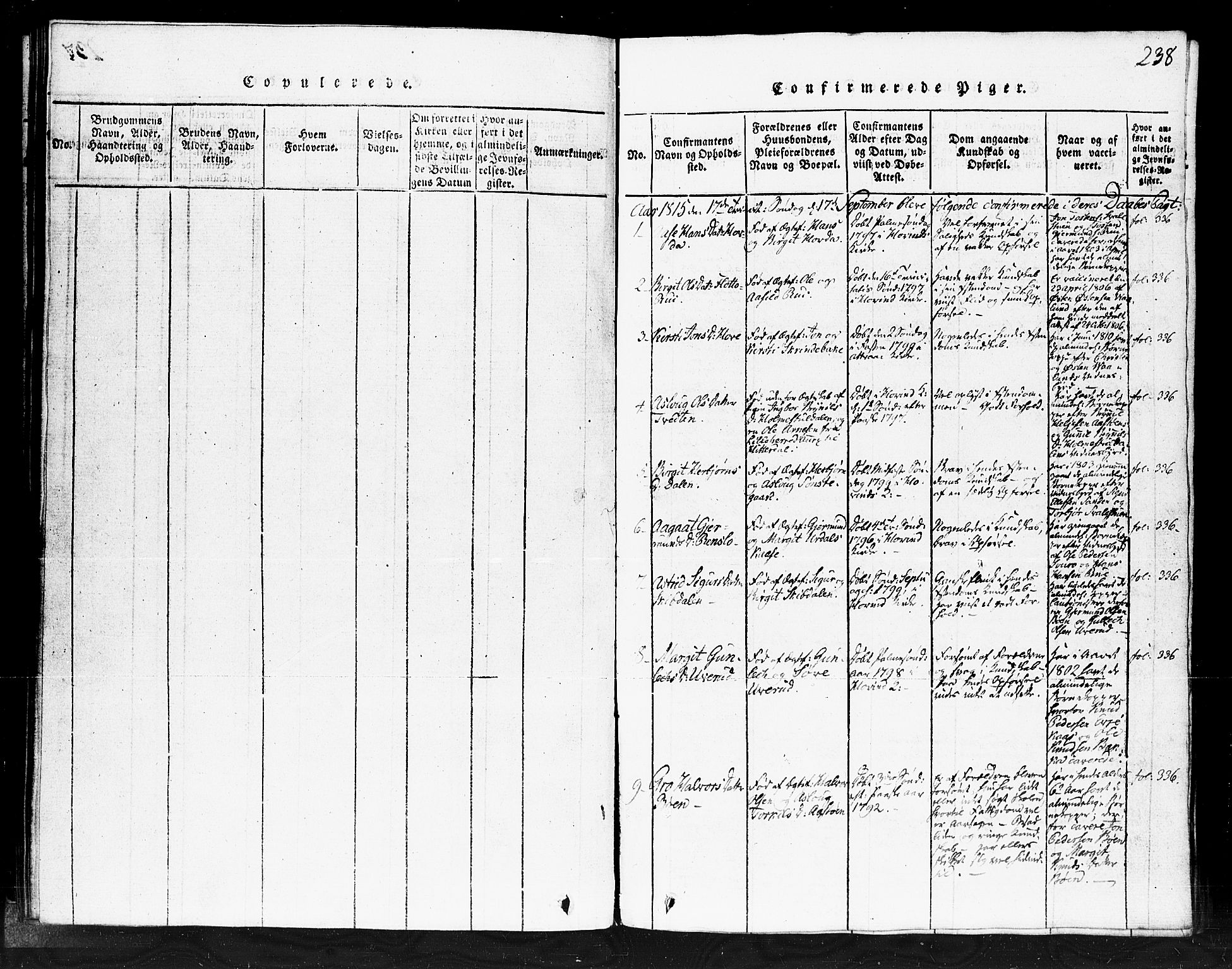 Gransherad kirkebøker, SAKO/A-267/F/Fb/L0002: Parish register (official) no. II 2, 1815-1843, p. 238