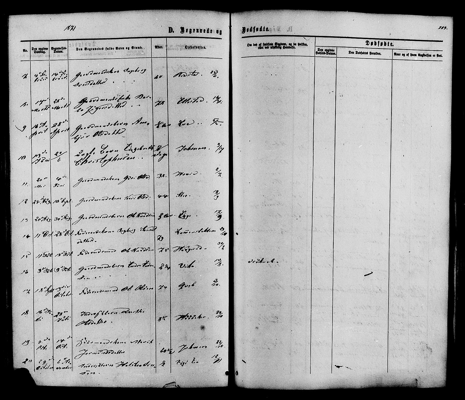 Vestre Slidre prestekontor, SAH/PREST-136/H/Ha/Haa/L0003: Parish register (official) no. 3, 1865-1880, p. 223