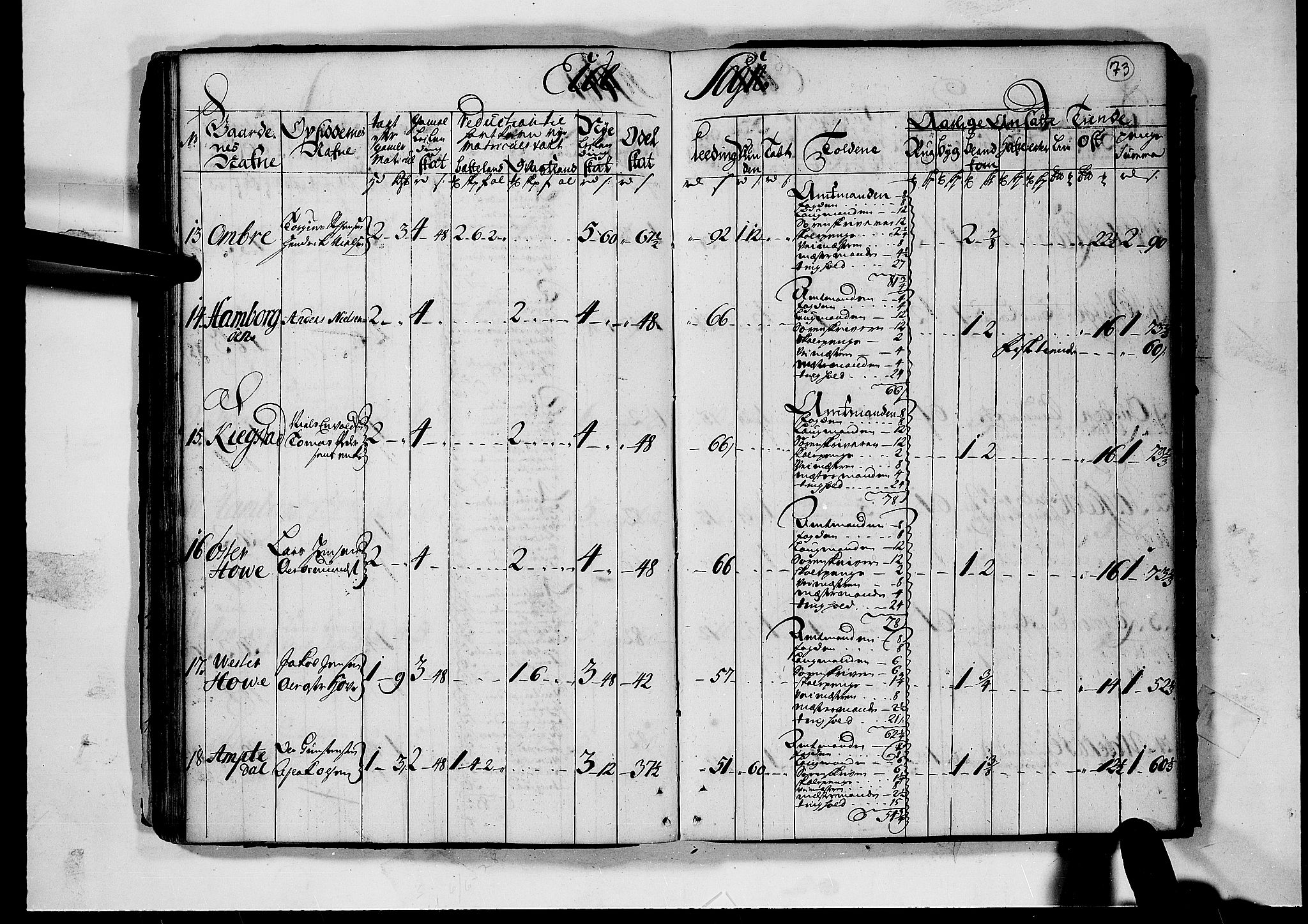 Rentekammeret inntil 1814, Realistisk ordnet avdeling, AV/RA-EA-4070/N/Nb/Nbf/L0124: Nedenes matrikkelprotokoll, 1723, p. 72b-73a