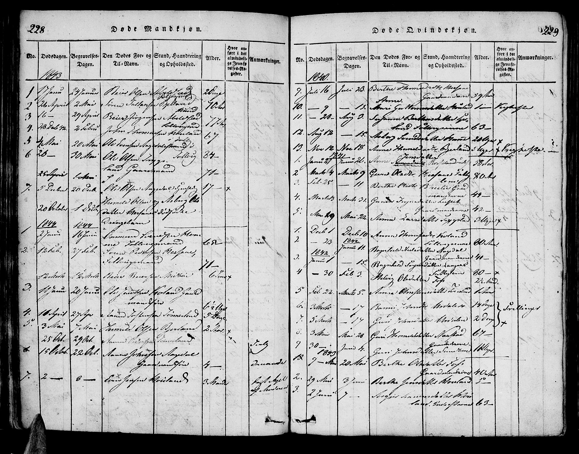 Bjelland sokneprestkontor, SAK/1111-0005/F/Fa/Faa/L0002: Parish register (official) no. A 2, 1816-1866, p. 228-229