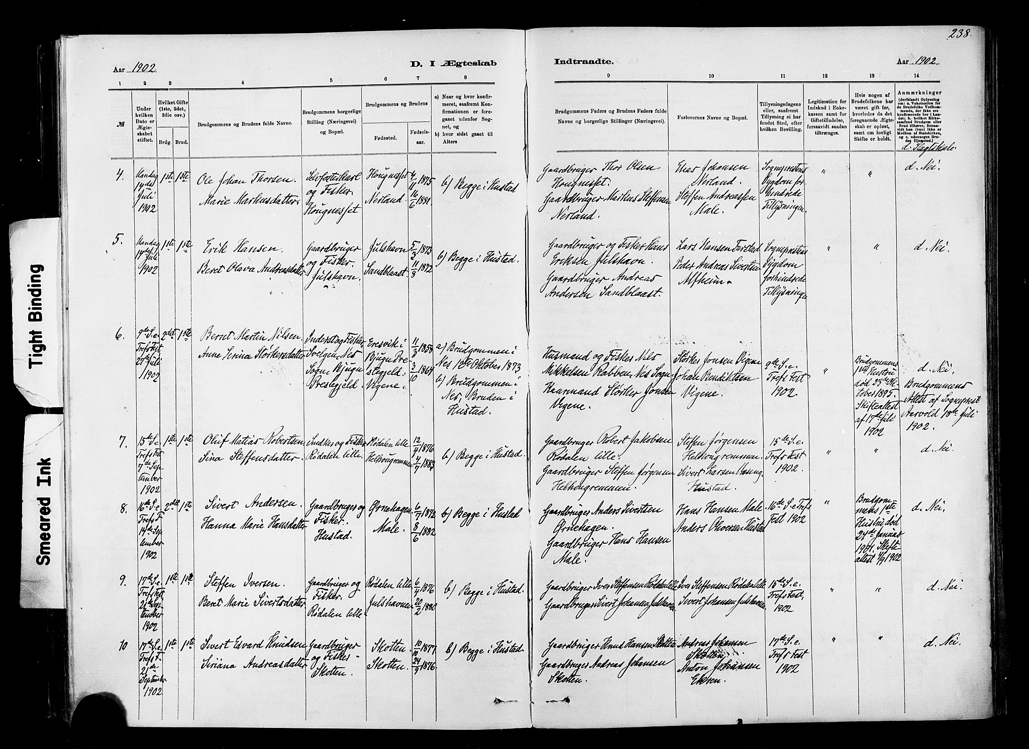 Ministerialprotokoller, klokkerbøker og fødselsregistre - Møre og Romsdal, SAT/A-1454/567/L0778: Parish register (official) no. 567A01, 1881-1903, p. 238