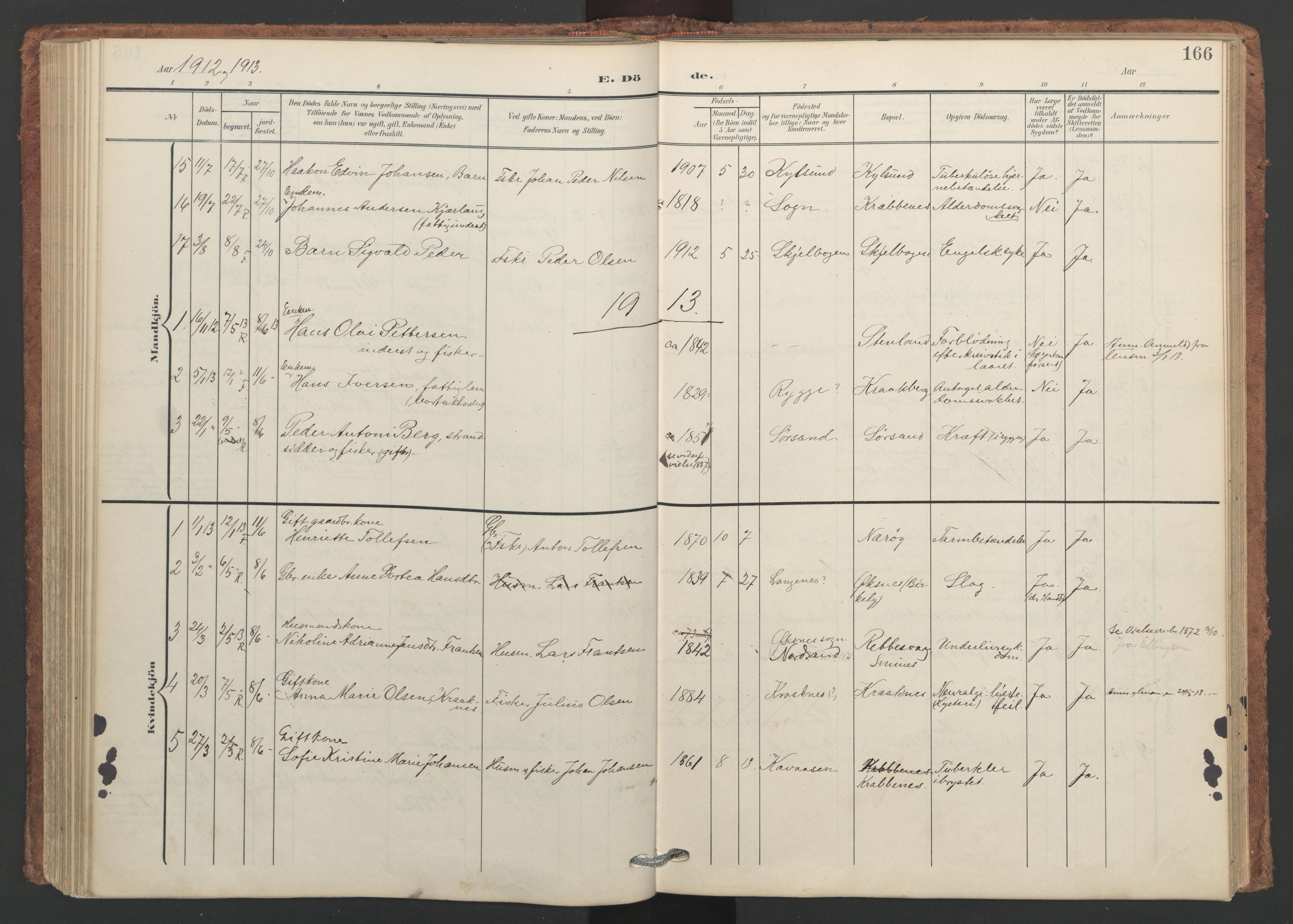 Ministerialprotokoller, klokkerbøker og fødselsregistre - Nordland, SAT/A-1459/893/L1339: Parish register (official) no. 893A11, 1904-1914, p. 166