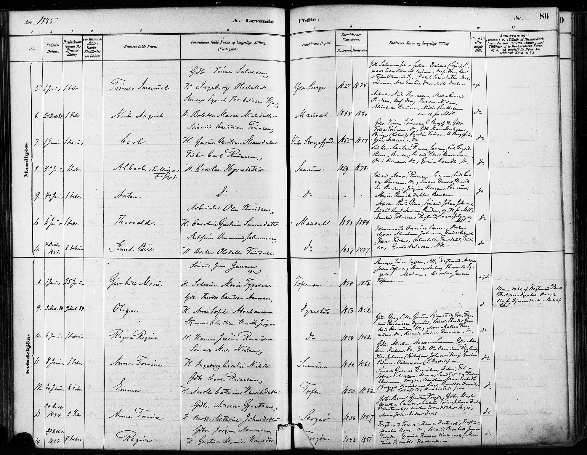 Mandal sokneprestkontor, SAK/1111-0030/F/Fa/Faa/L0016: Parish register (official) no. A 16, 1880-1890, p. 86