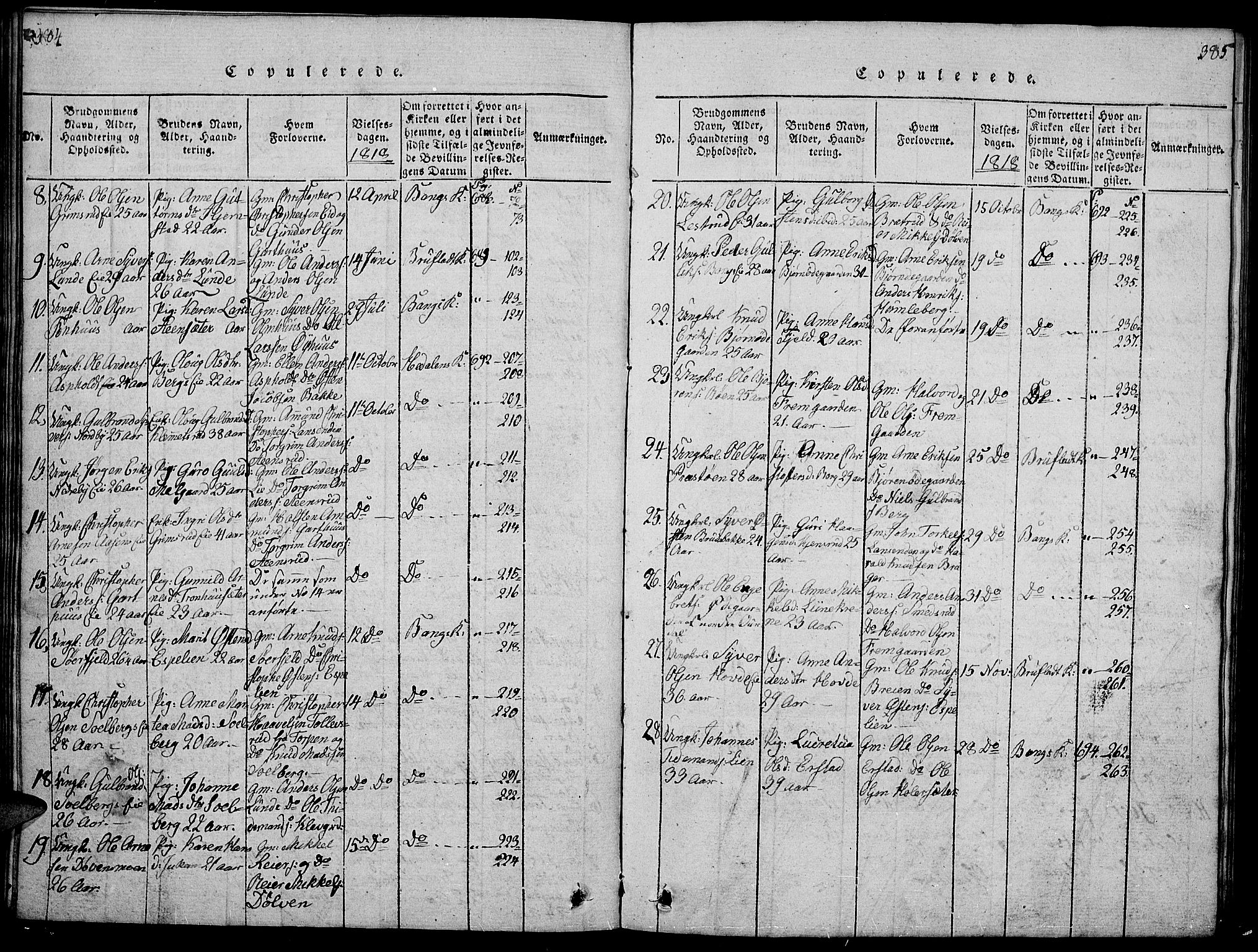 Sør-Aurdal prestekontor, SAH/PREST-128/H/Ha/Hab/L0001: Parish register (copy) no. 1, 1815-1826, p. 384-385