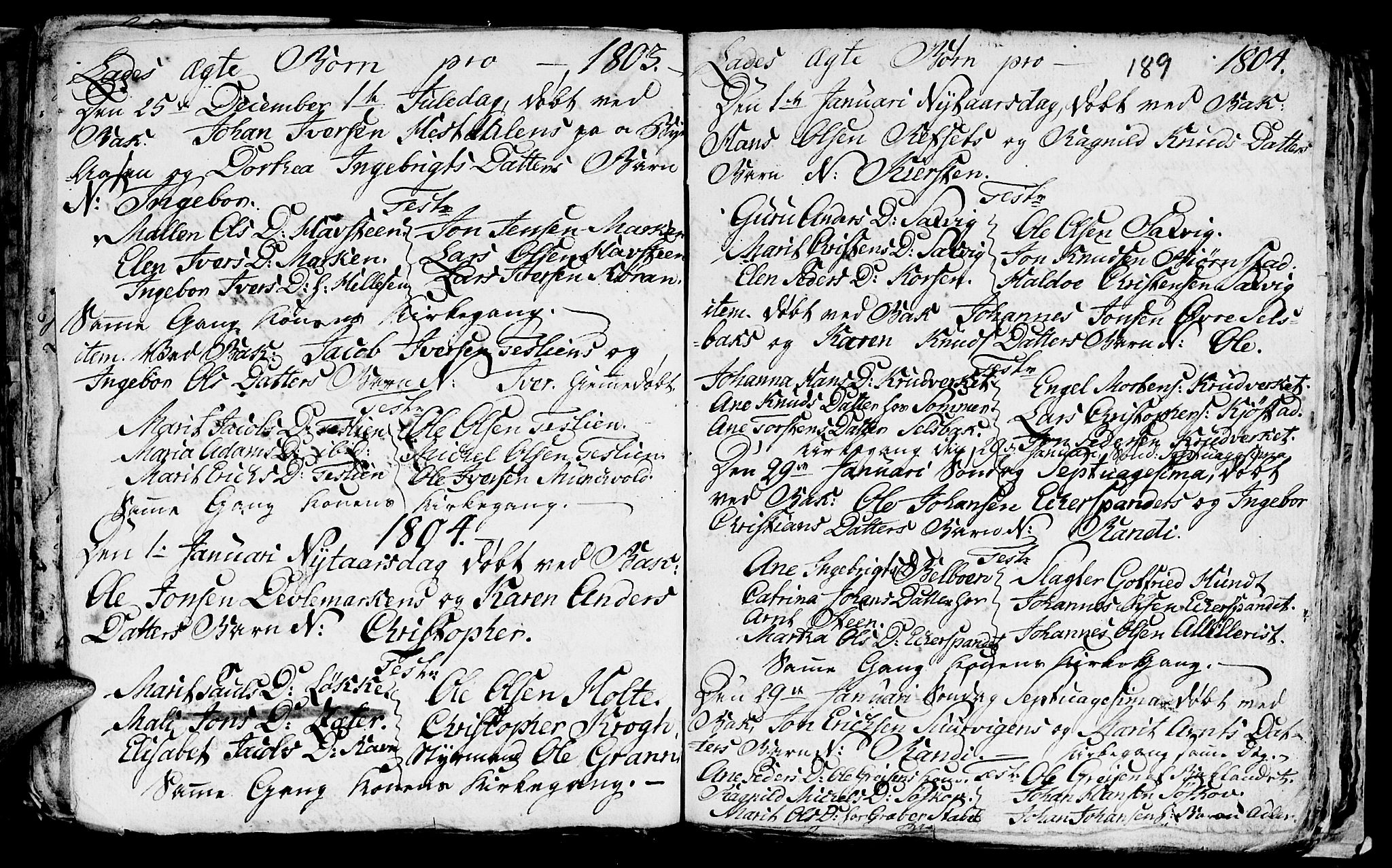 Ministerialprotokoller, klokkerbøker og fødselsregistre - Sør-Trøndelag, SAT/A-1456/606/L0305: Parish register (copy) no. 606C01, 1757-1819, p. 189