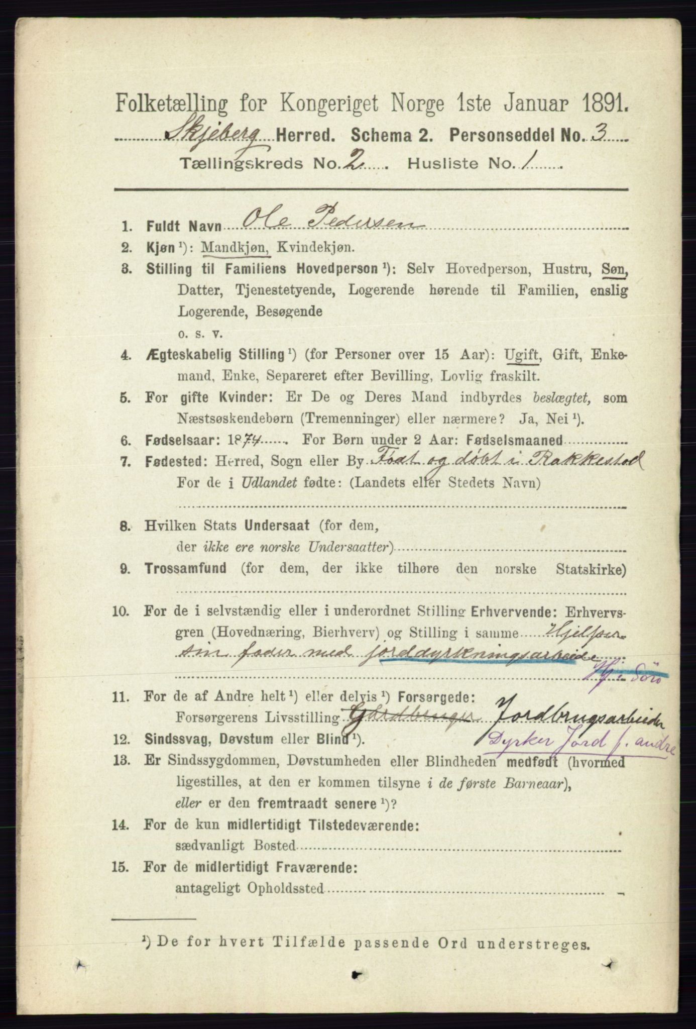 RA, 1891 census for 0115 Skjeberg, 1891, p. 911