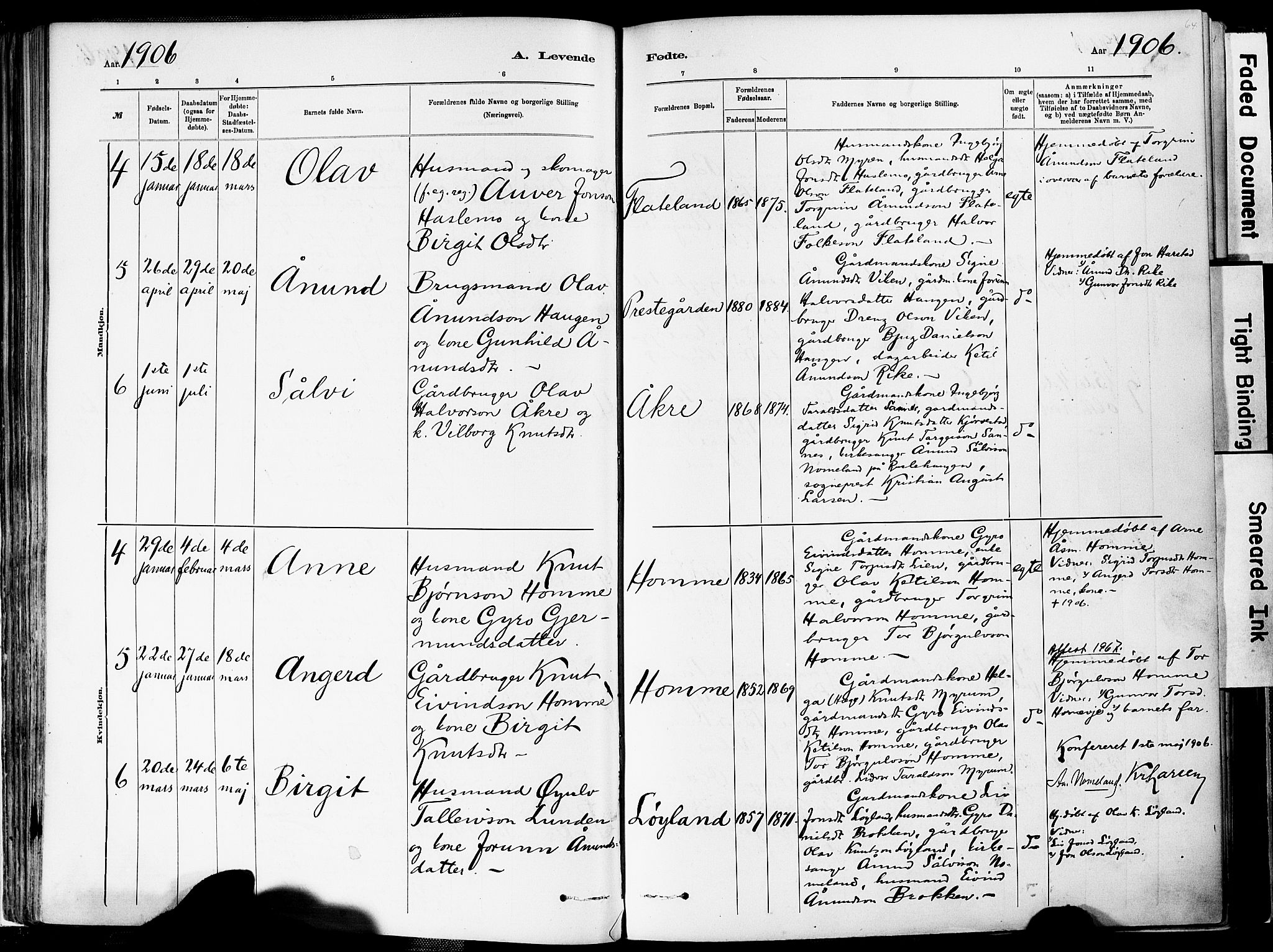 Valle sokneprestkontor, AV/SAK-1111-0044/F/Fa/Fac/L0009: Parish register (official) no. A 9, 1882-1913, p. 64