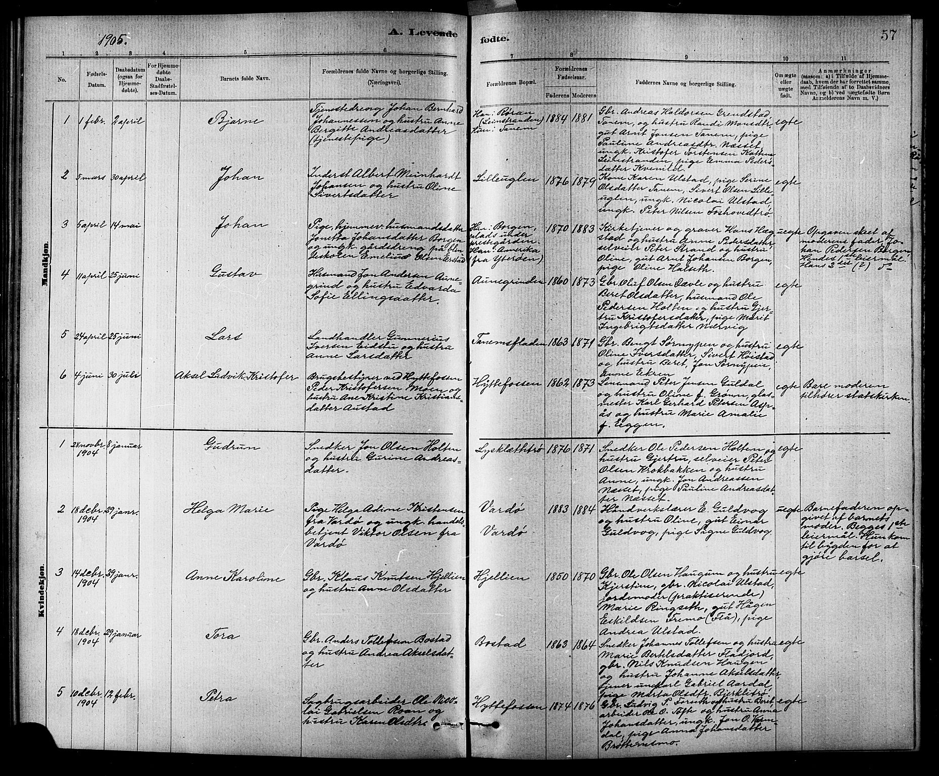 Ministerialprotokoller, klokkerbøker og fødselsregistre - Sør-Trøndelag, SAT/A-1456/618/L0452: Parish register (copy) no. 618C03, 1884-1906, p. 57