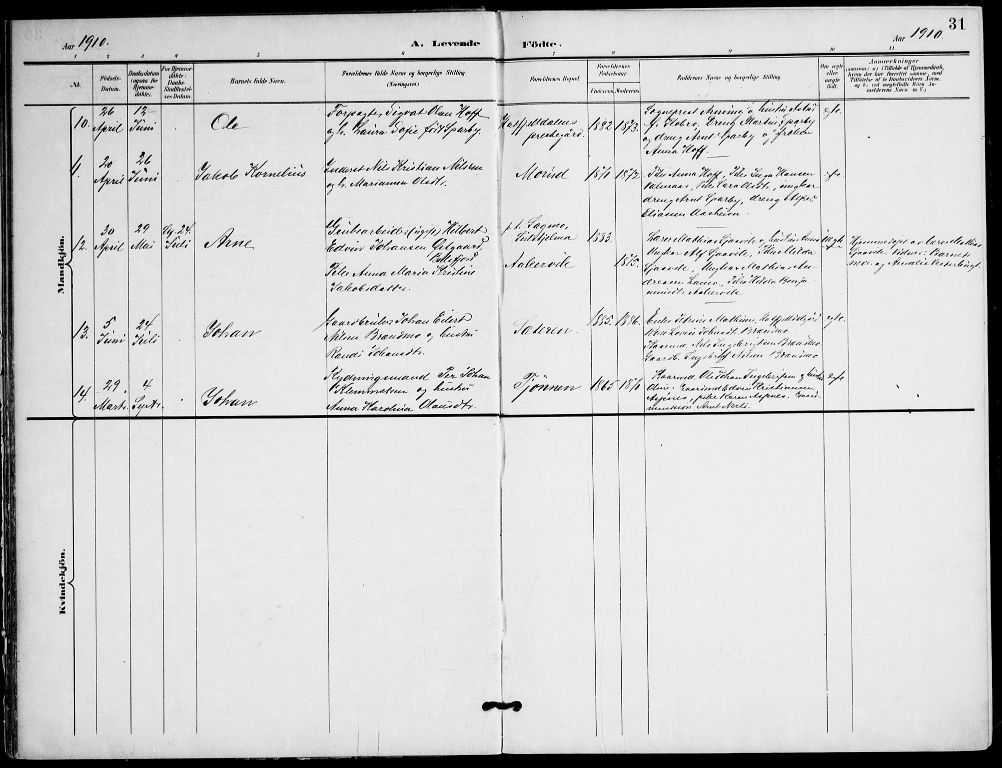 Ministerialprotokoller, klokkerbøker og fødselsregistre - Nordland, AV/SAT-A-1459/823/L0326: Parish register (official) no. 823A03, 1899-1919, p. 31