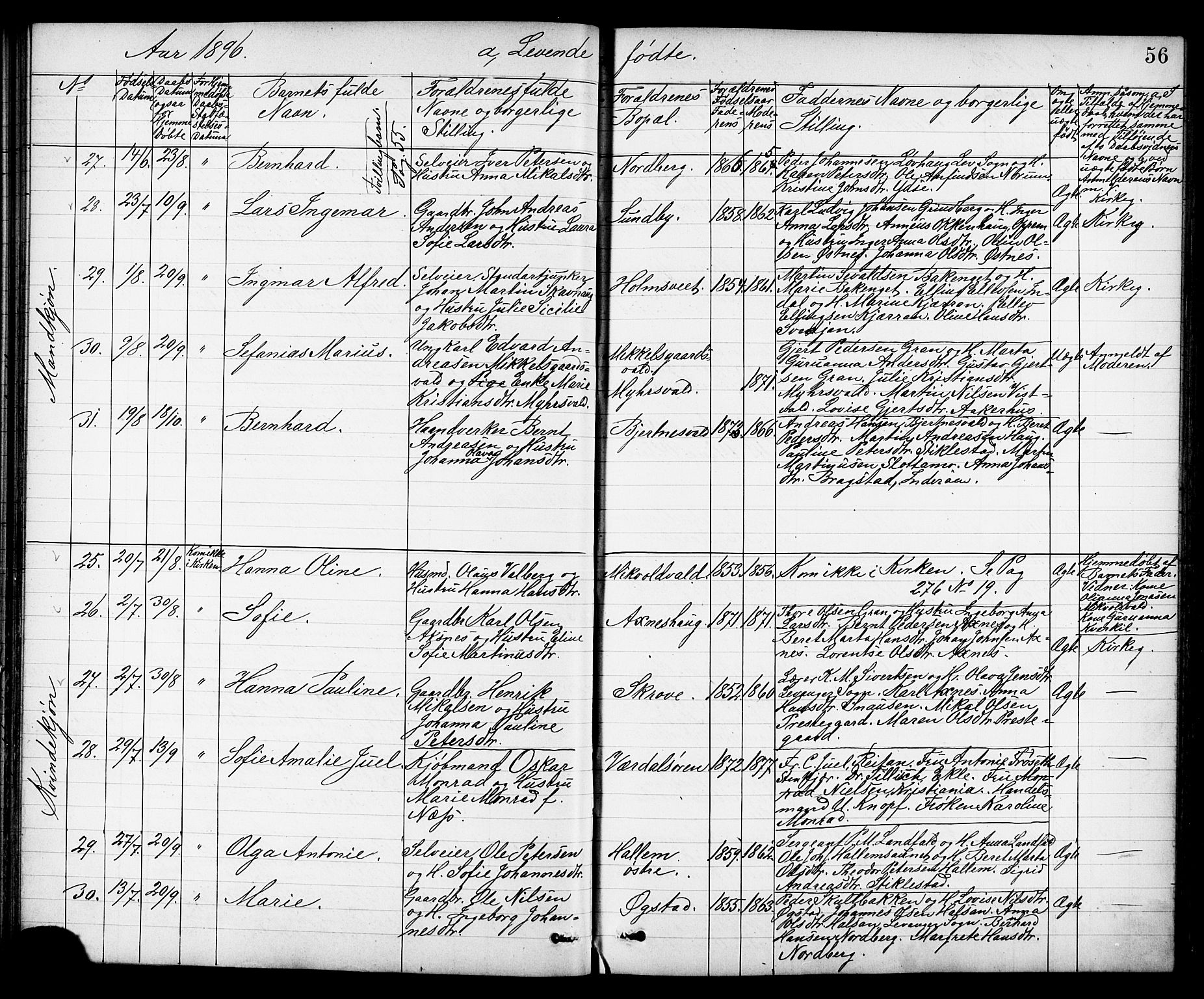 Ministerialprotokoller, klokkerbøker og fødselsregistre - Nord-Trøndelag, SAT/A-1458/723/L0257: Parish register (copy) no. 723C05, 1890-1907, p. 56