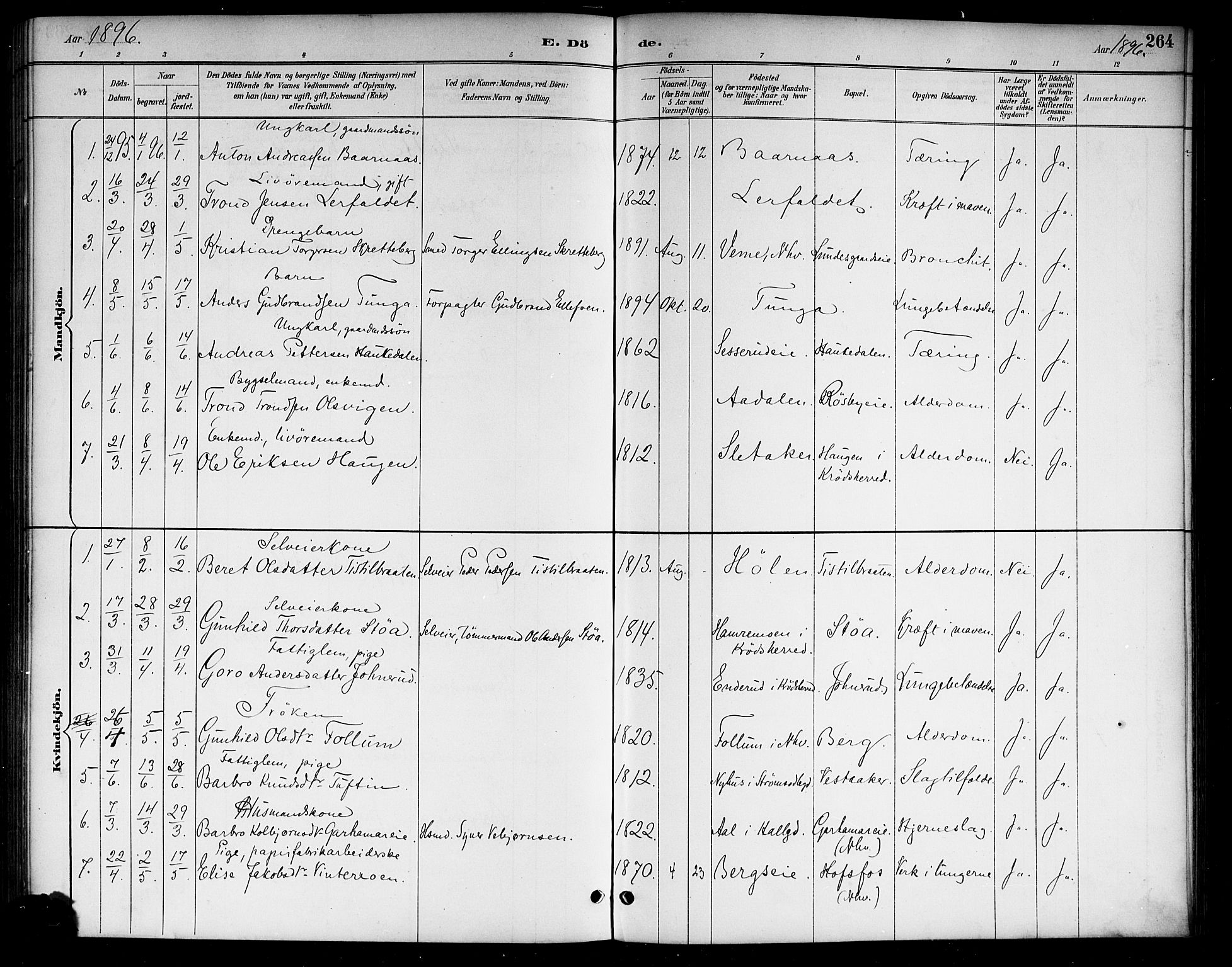 Lunder kirkebøker, SAKO/A-629/G/Ga/L0004: Parish register (copy) no. I 4, 1889-1917, p. 264