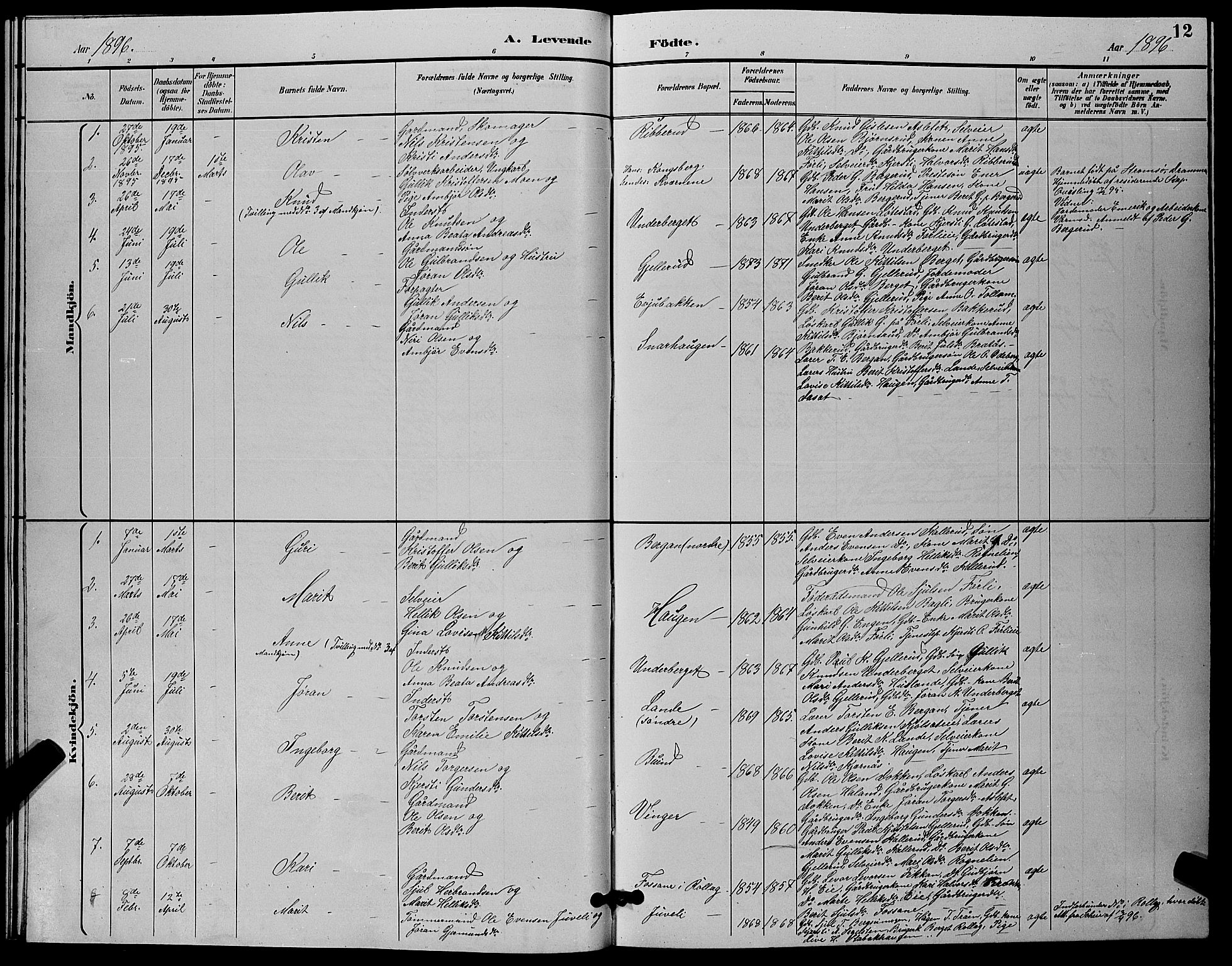 Flesberg kirkebøker, SAKO/A-18/G/Ga/L0004: Parish register (copy) no. I 4 /1, 1890-1898, p. 12