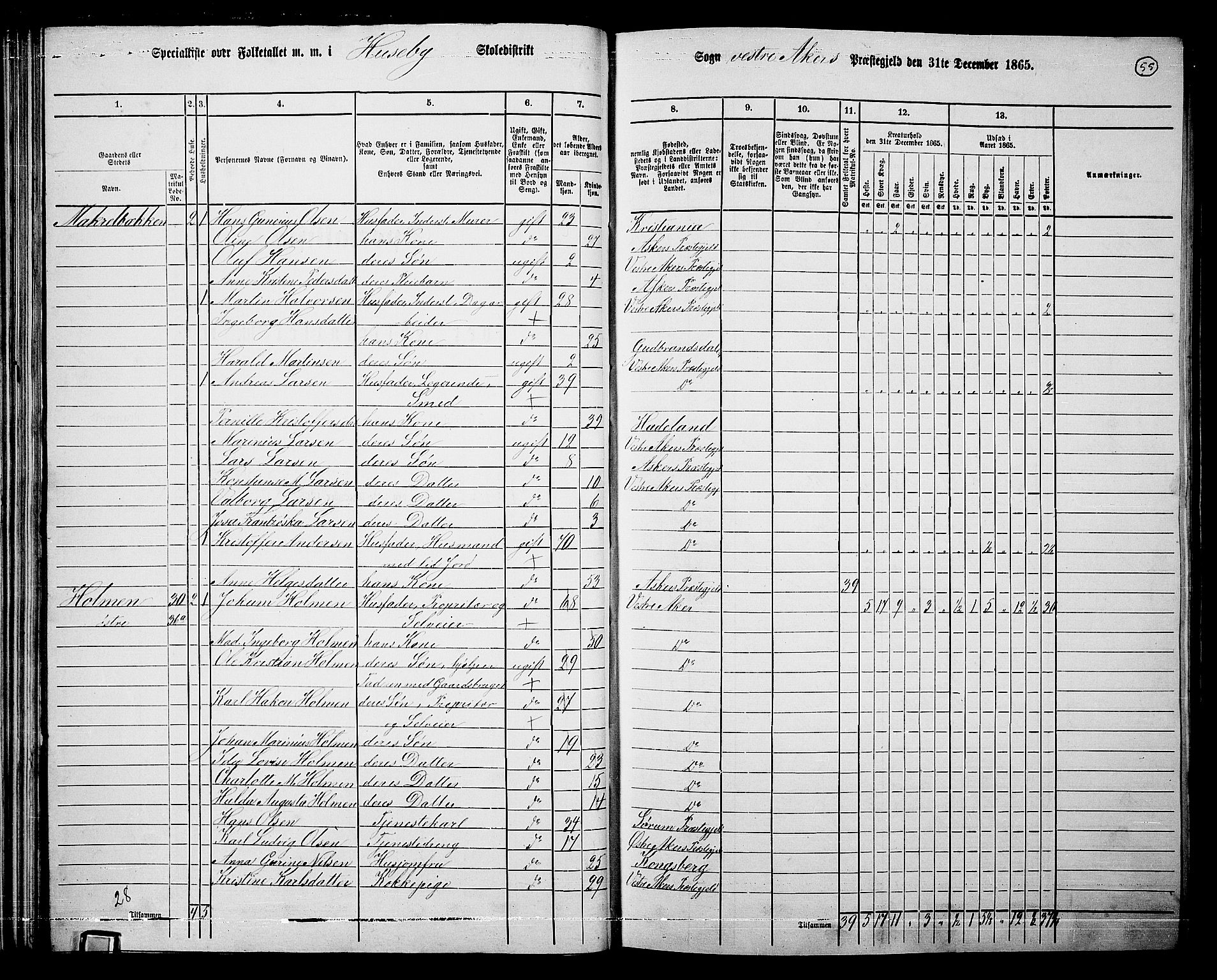 RA, 1865 census for Vestre Aker, 1865, p. 228