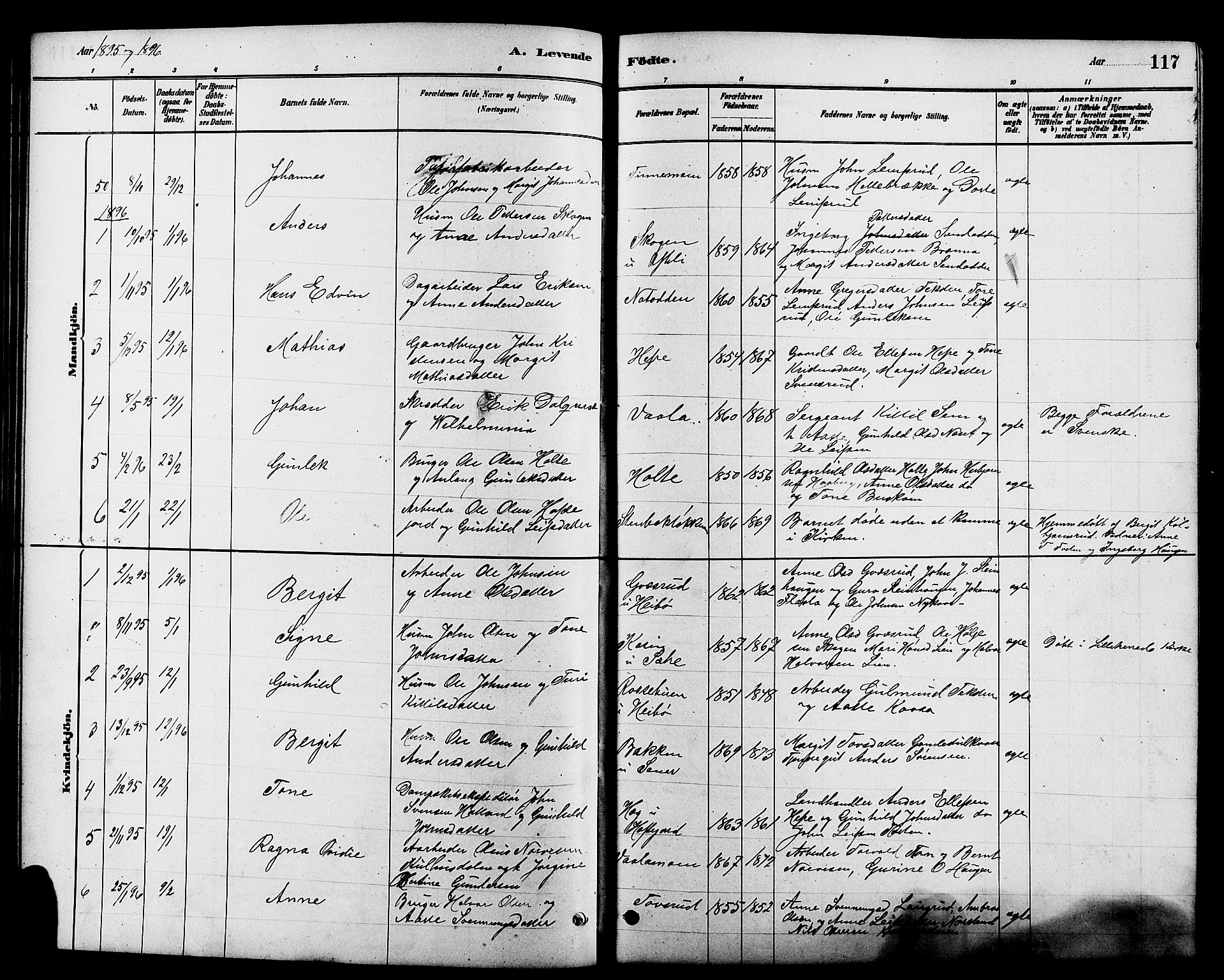 Heddal kirkebøker, SAKO/A-268/G/Ga/L0002: Parish register (copy) no. I 2, 1879-1908, p. 117