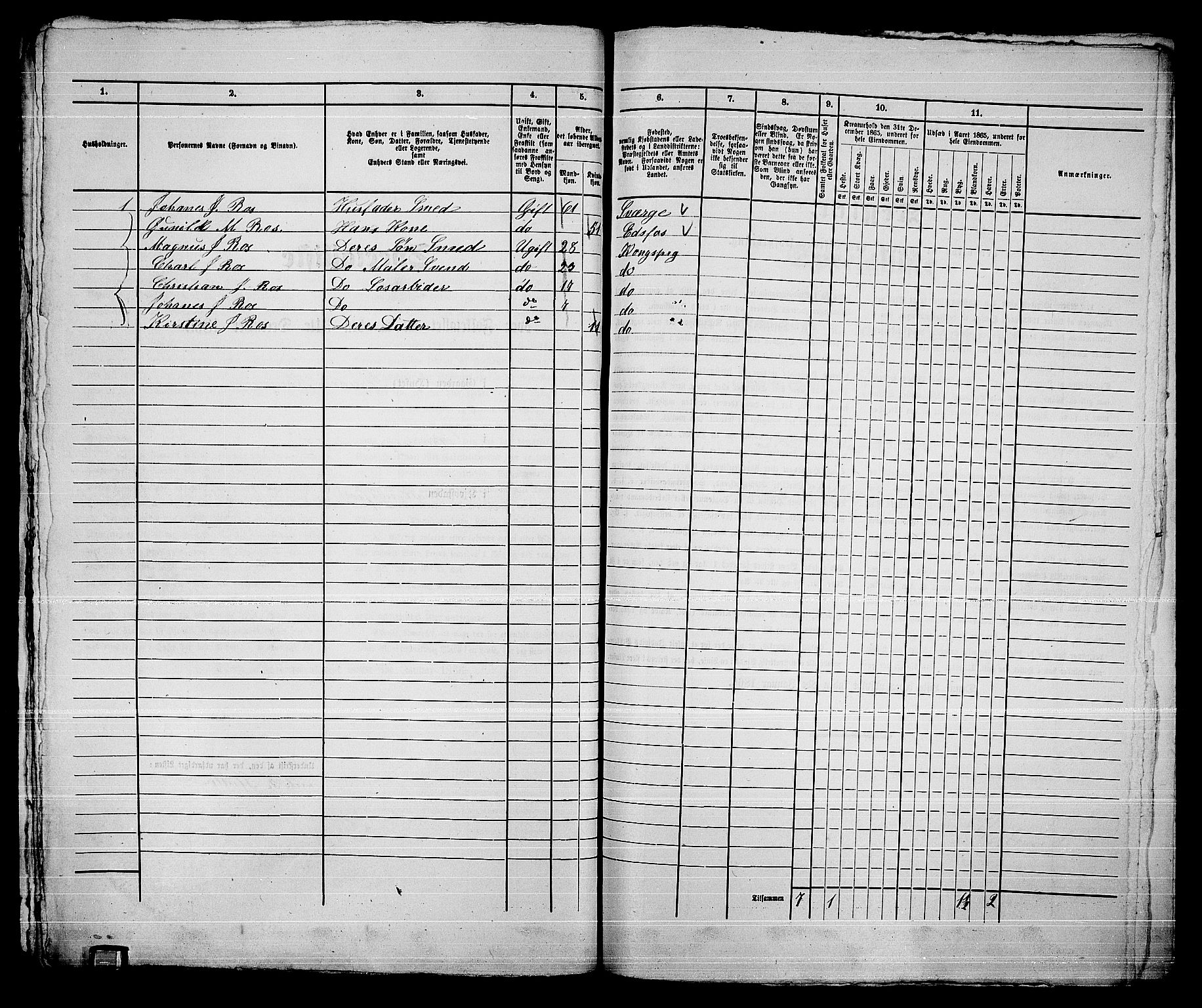 RA, 1865 census for Kongsberg/Kongsberg, 1865, p. 1519