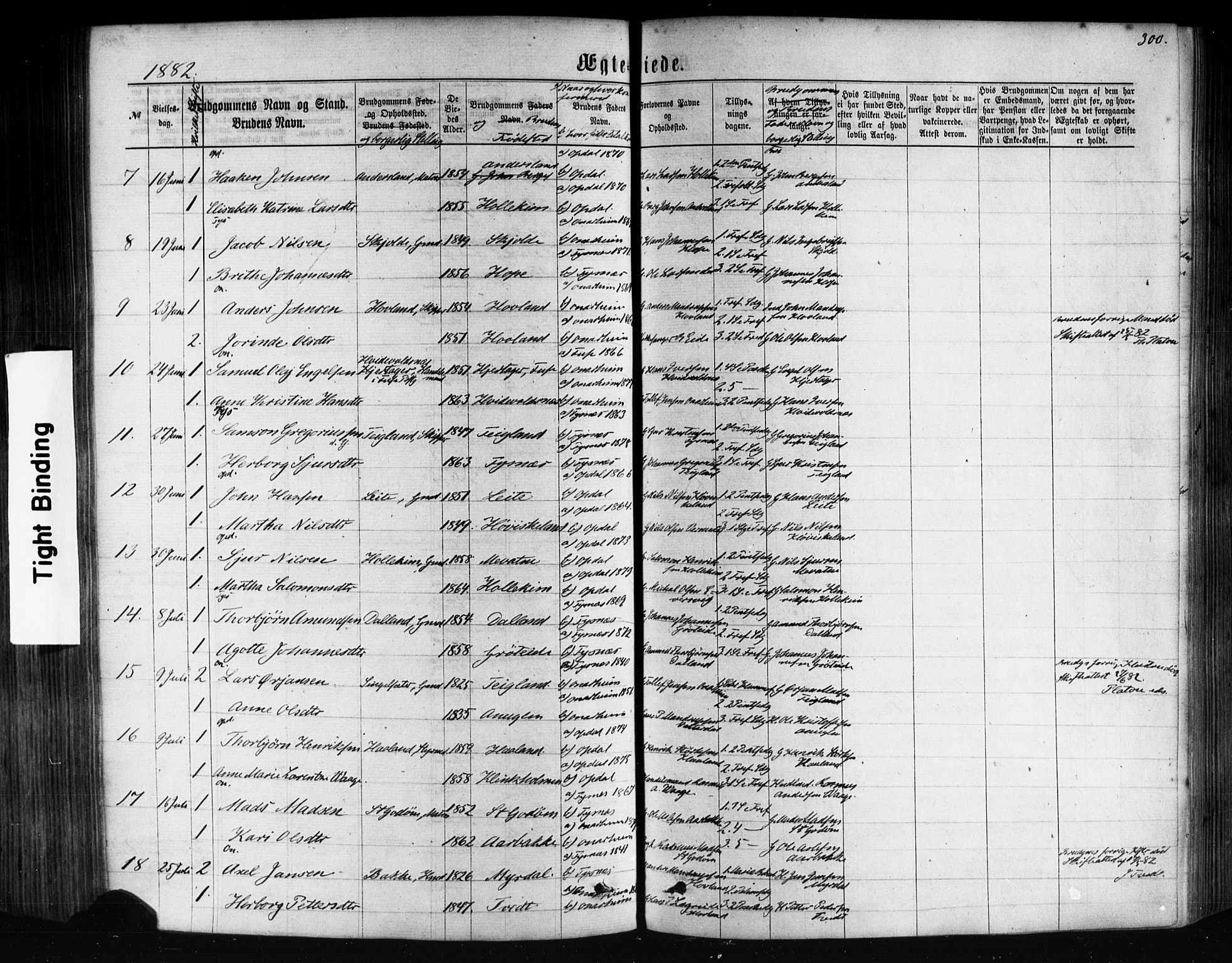 Tysnes sokneprestembete, AV/SAB-A-78601/H/Haa: Parish register (official) no. A 12, 1872-1886, p. 300