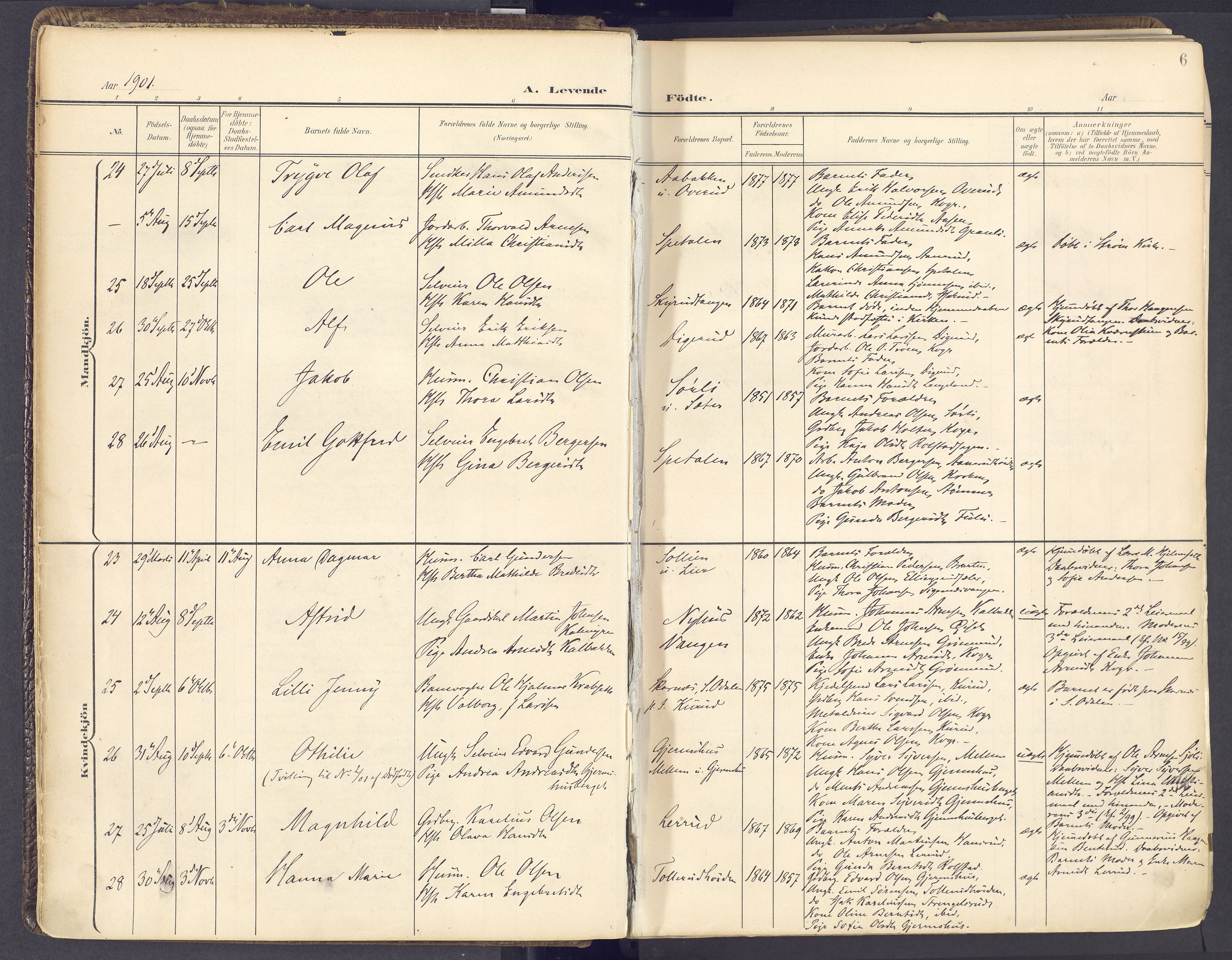 Vinger prestekontor, AV/SAH-PREST-024/H/Ha/Haa/L0017: Parish register (official) no. 17, 1901-1927, p. 6