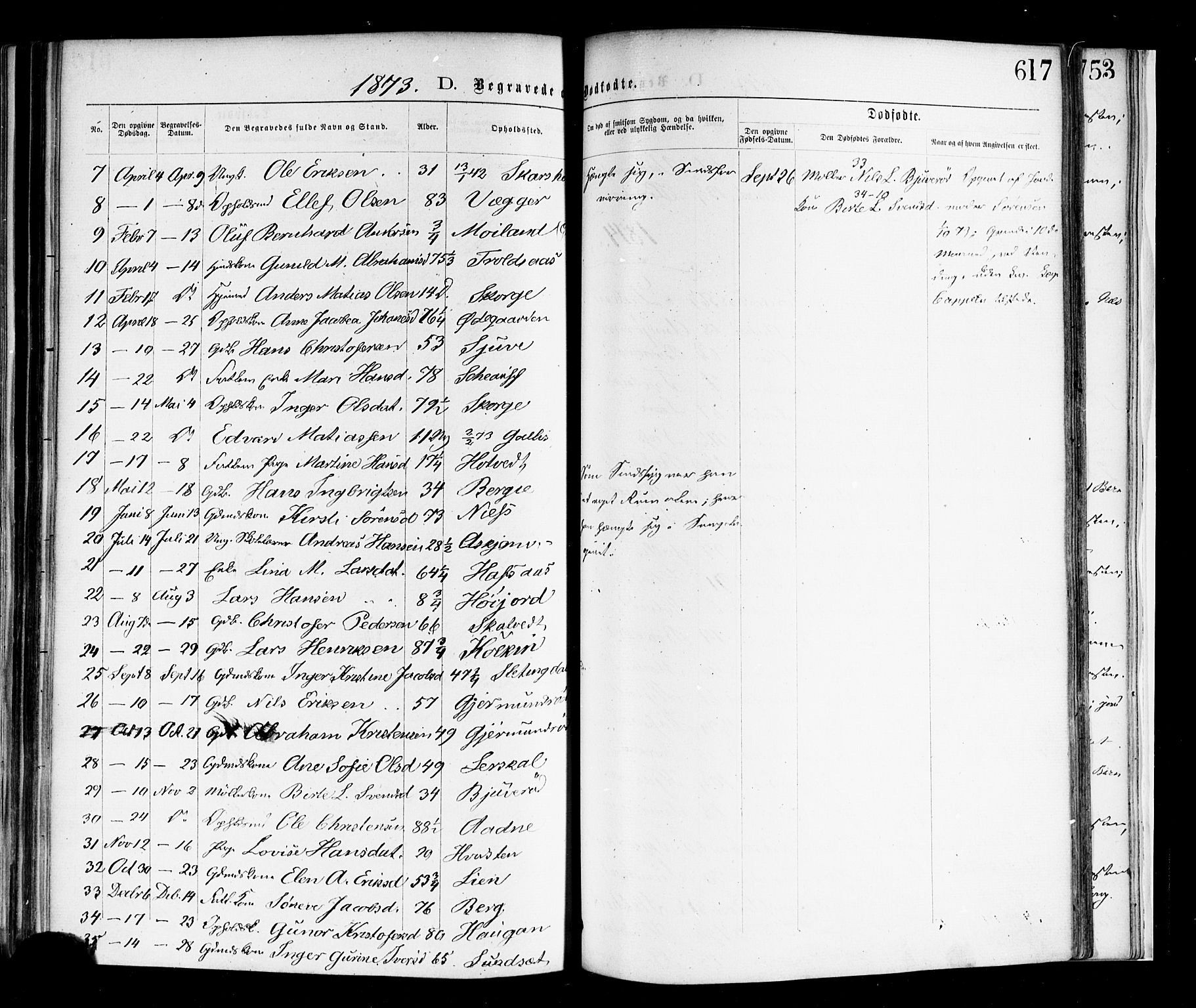 Andebu kirkebøker, SAKO/A-336/F/Fa/L0006: Parish register (official) no. 6, 1871-1878, p. 617