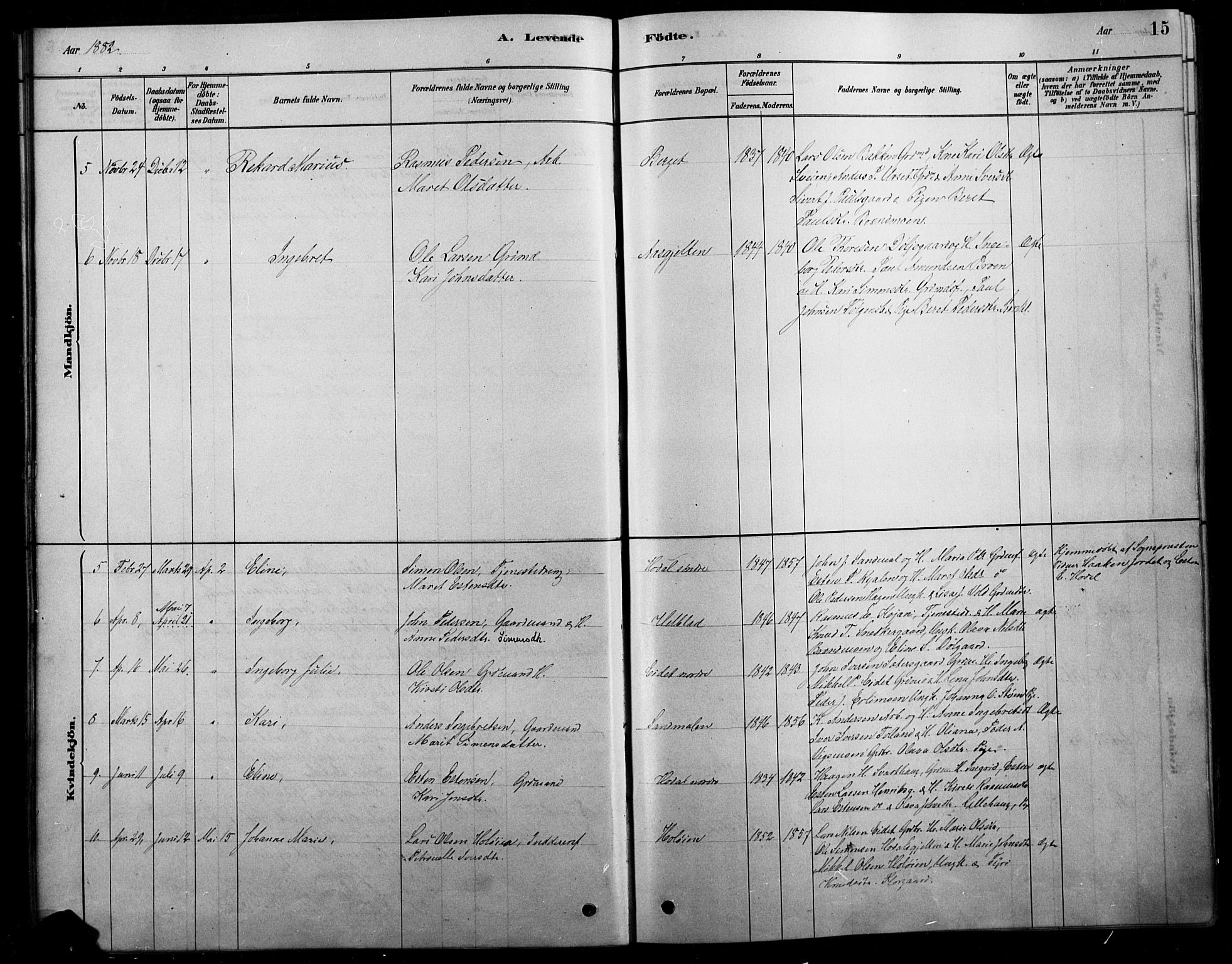 Tolga prestekontor, SAH/PREST-062/L/L0007: Parish register (copy) no. 7, 1878-1919, p. 15